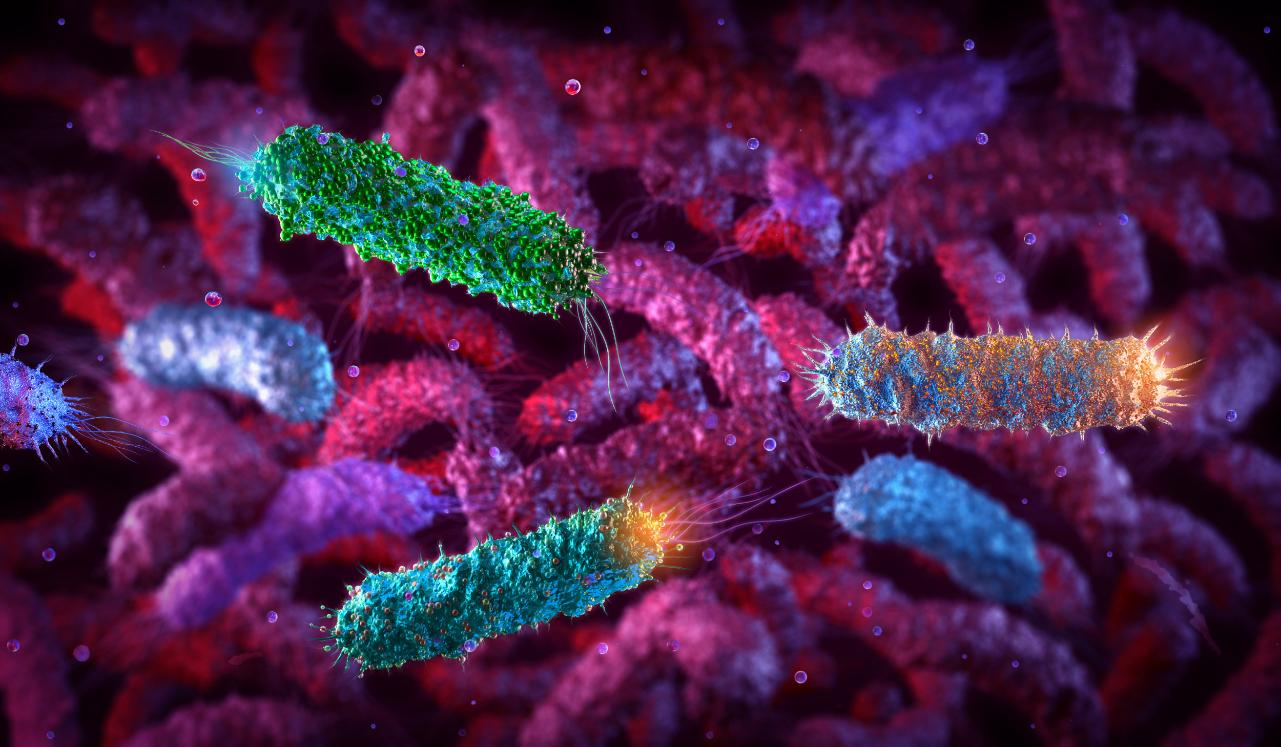 Food Poisoning Salmonella Risk Increasing Microbiologists Warn Newsweek