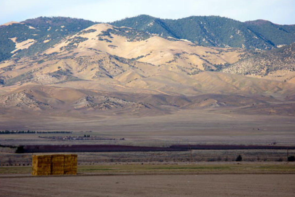 View of Centennial