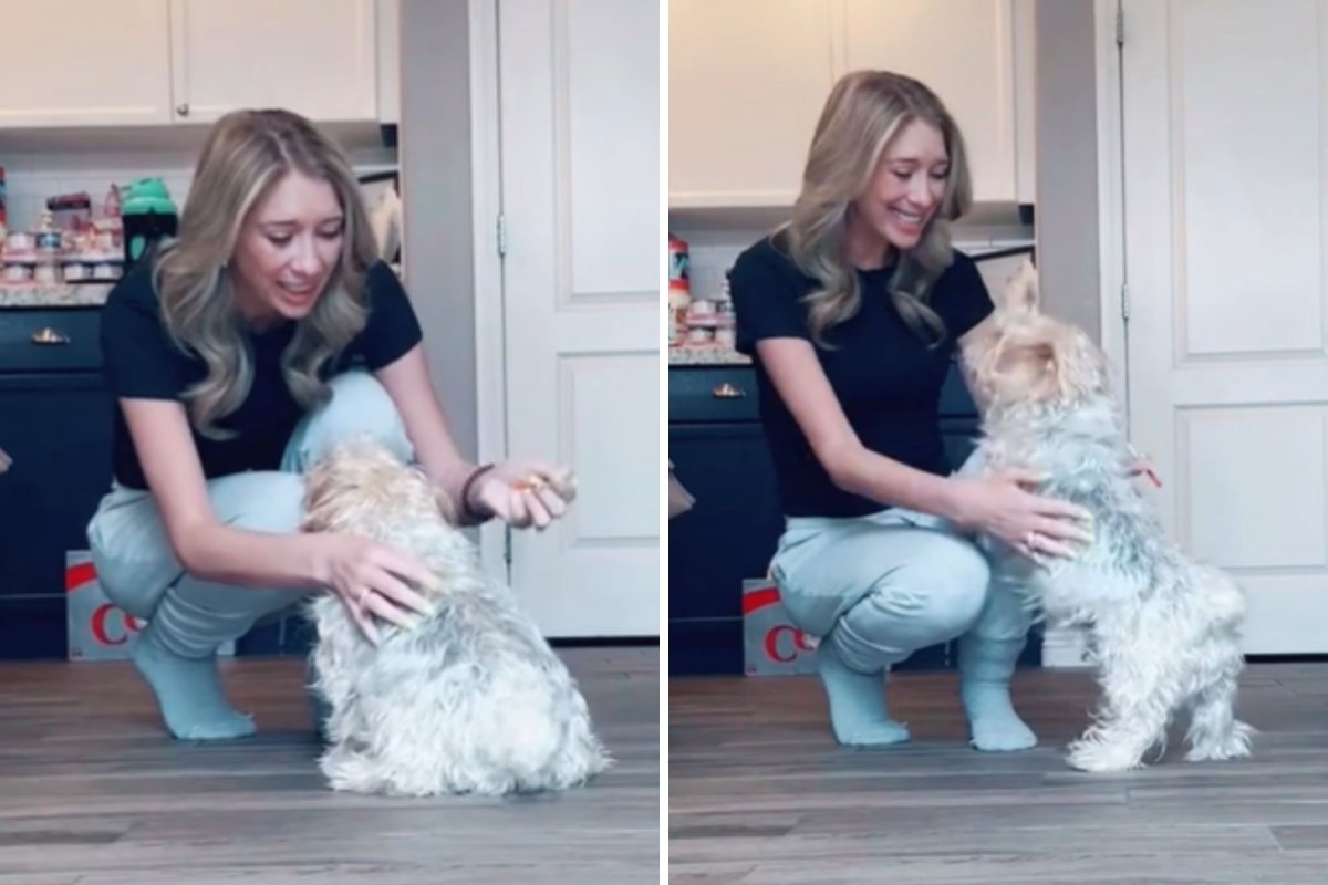 Owner gives dog fake "shot"