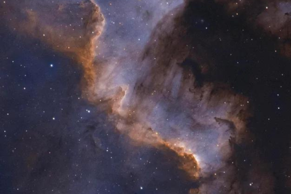 The Cygnus Wall.