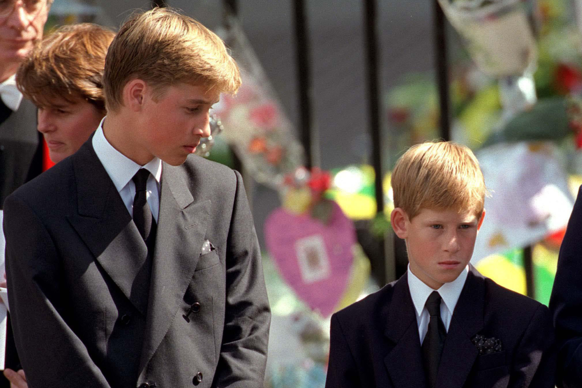 Prince William and Prince Harry Diana Funeral
