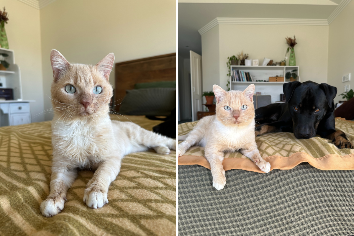 Morris thriving in his new home.