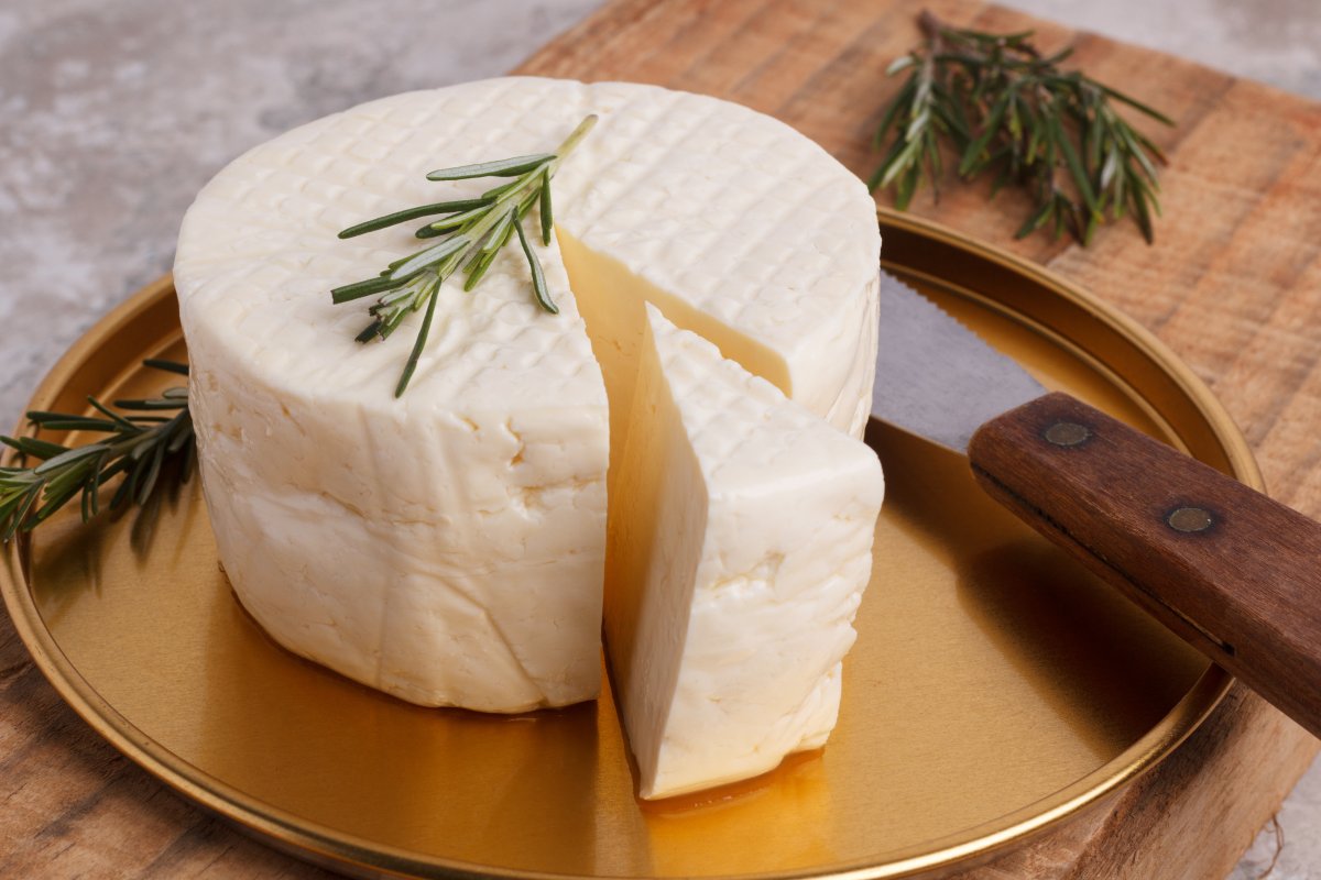 Wheel of brazilian traditional cheese Minas
