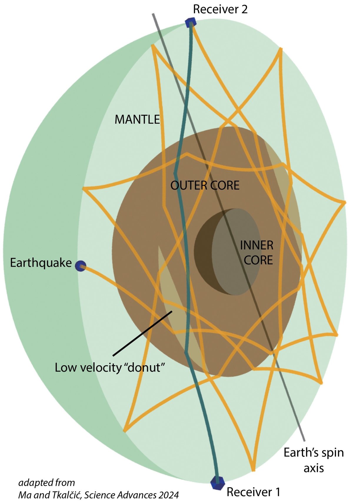 Seismic waves travelling through Earth
