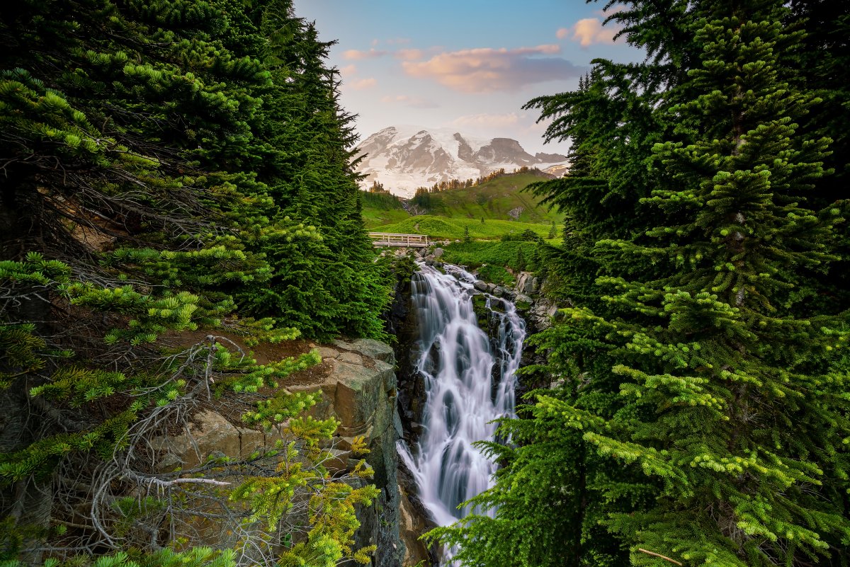 Mount Rainier National Park in Washington state.