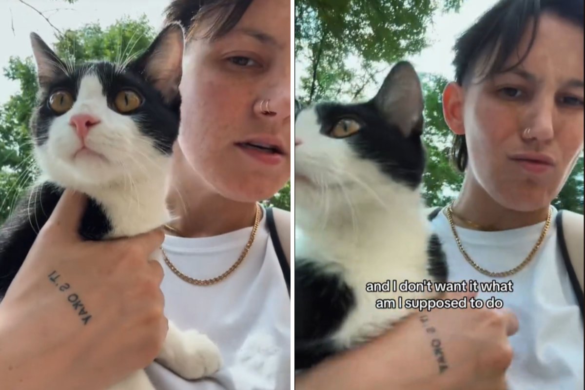 Stranger gives cat away