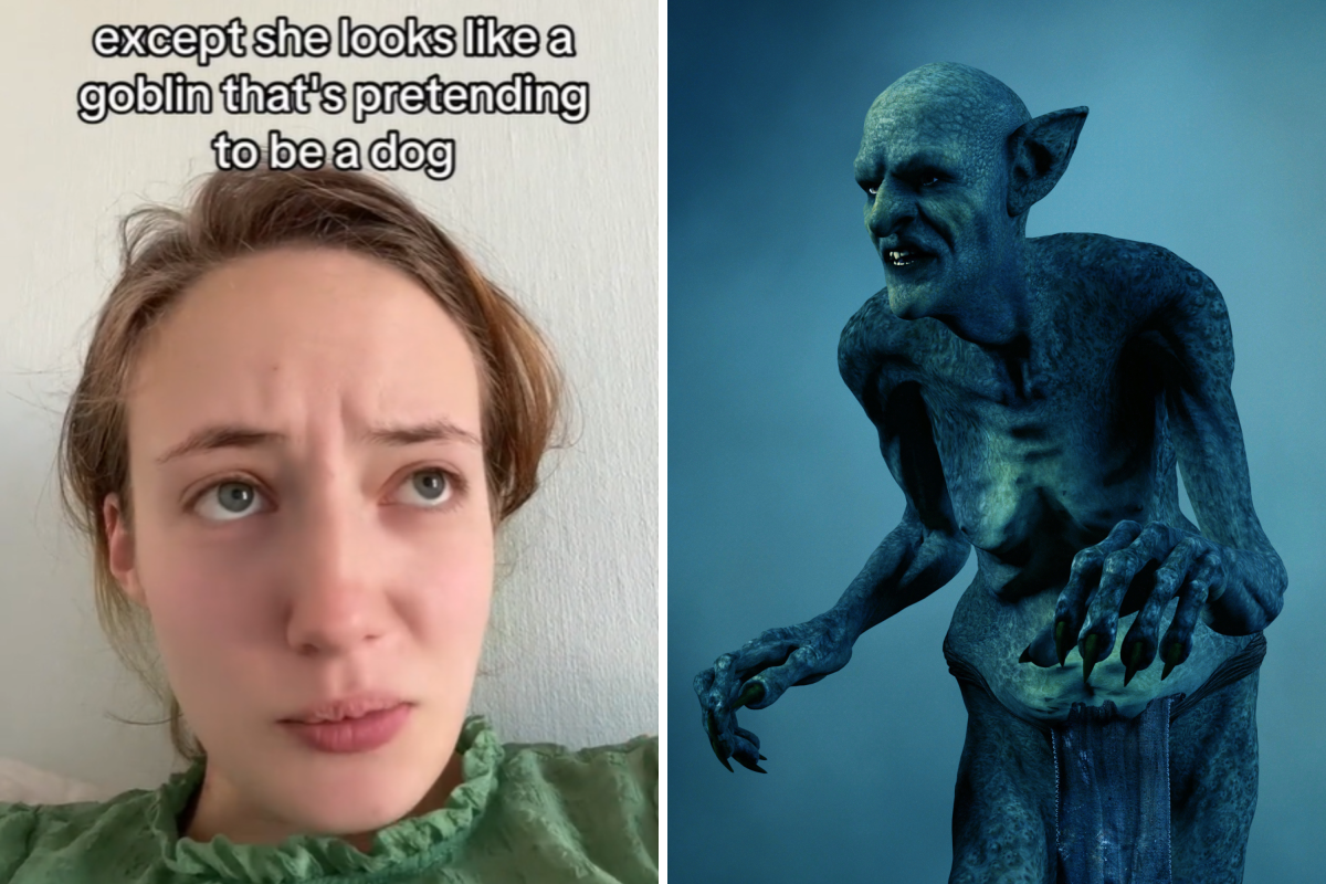 dod goblin dog