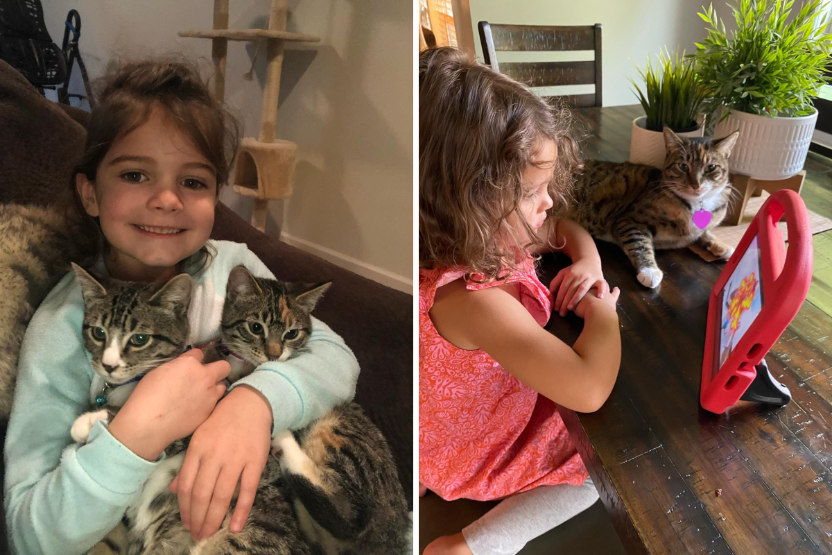 Kora and the cats.