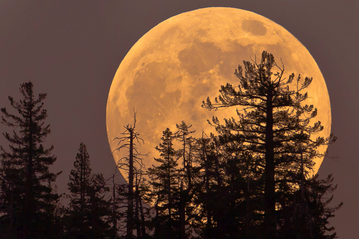 Supermoon rising