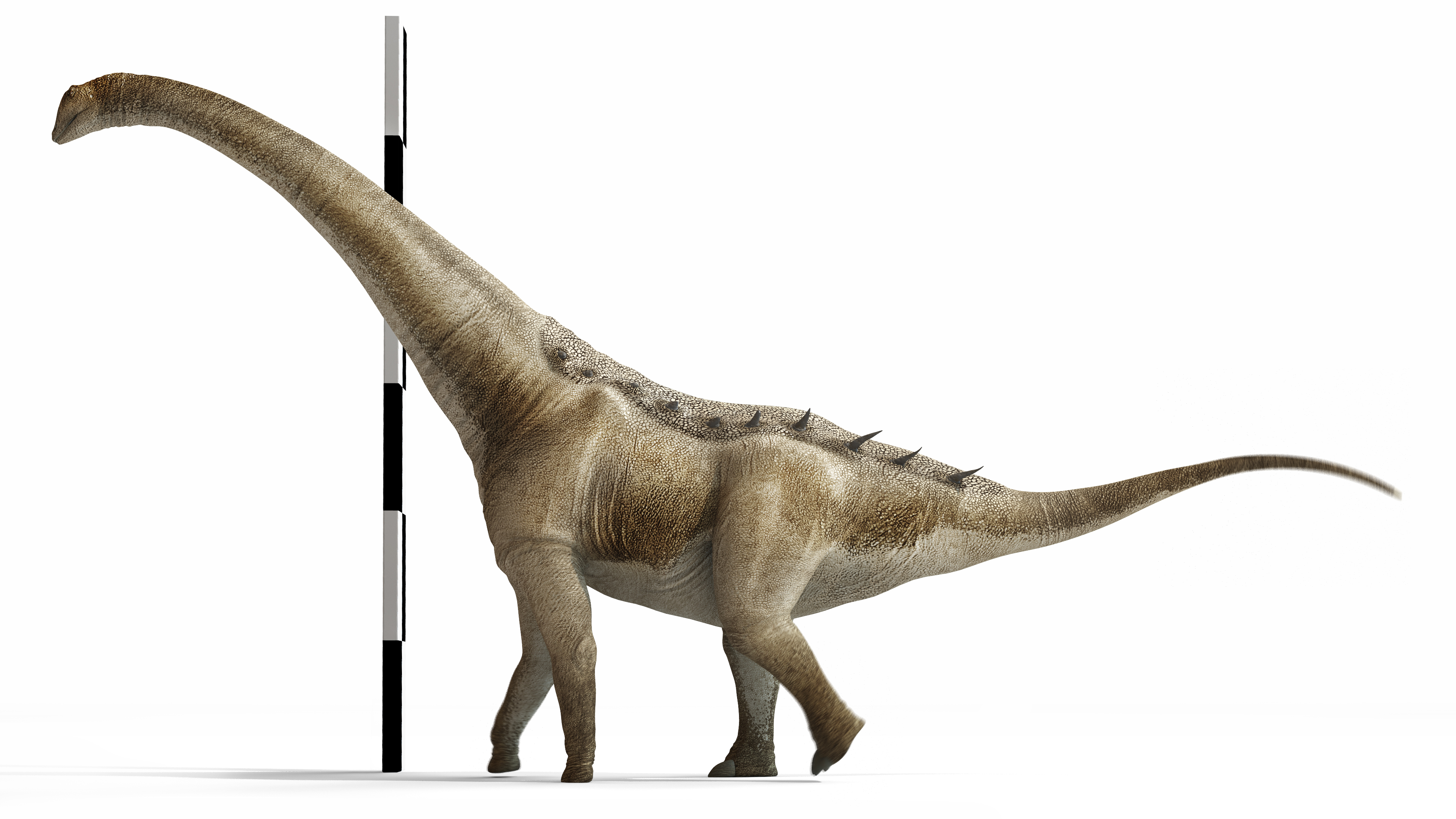 New Dinosaur Species Found in Spain and Japan