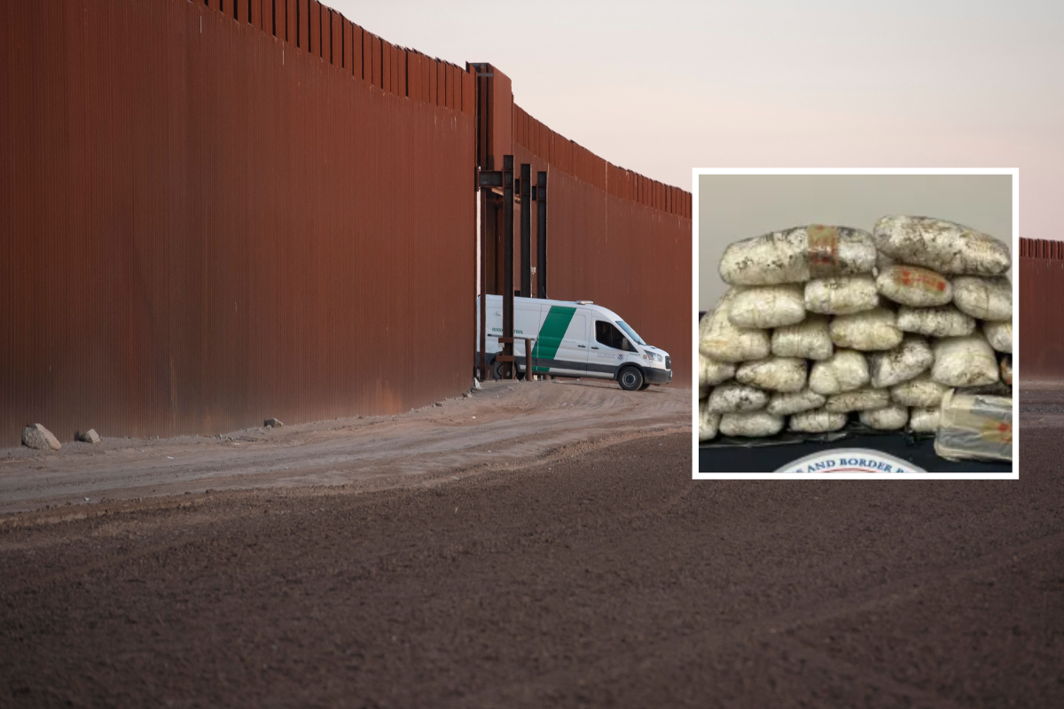 CBP BUST