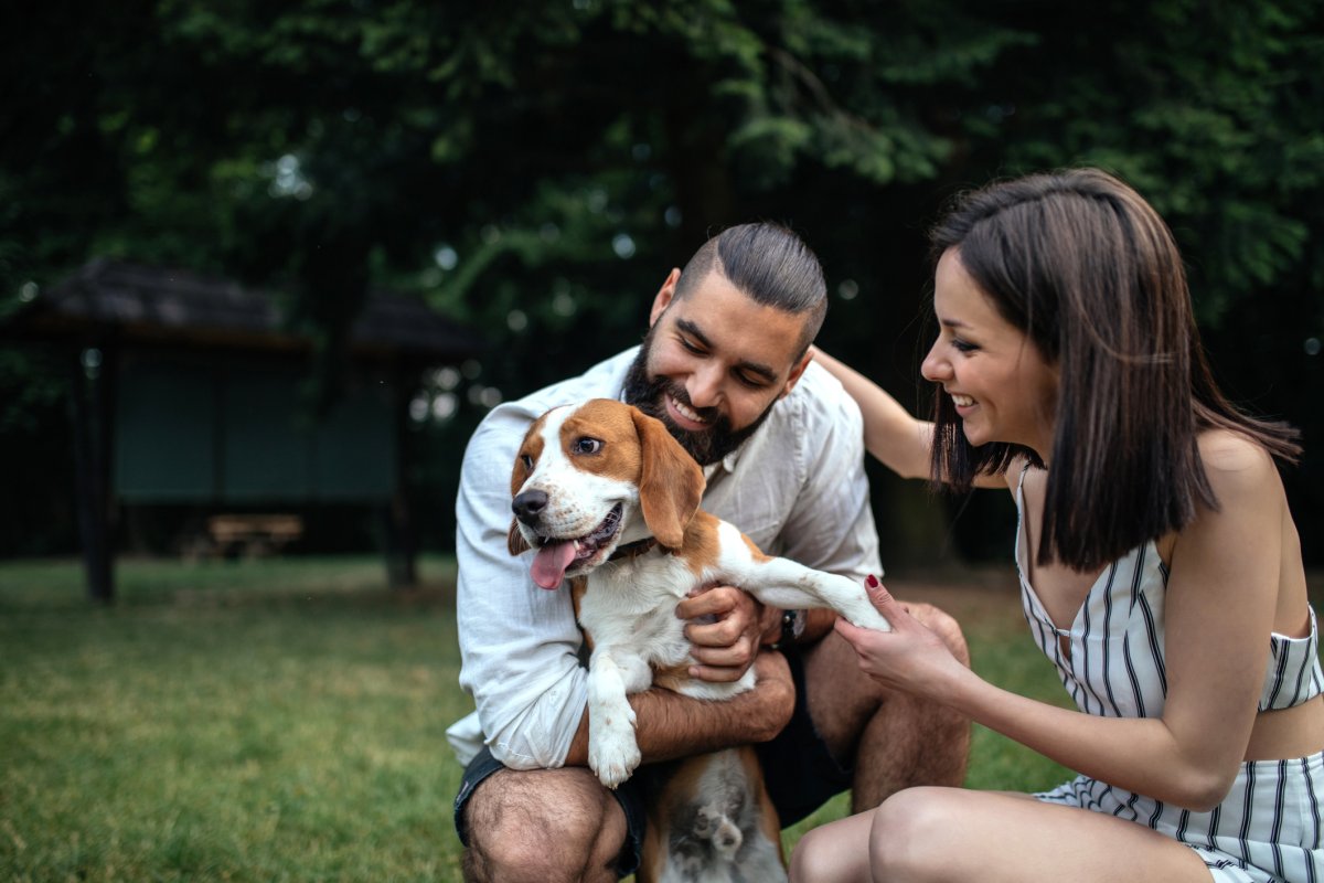 A couple and their dog