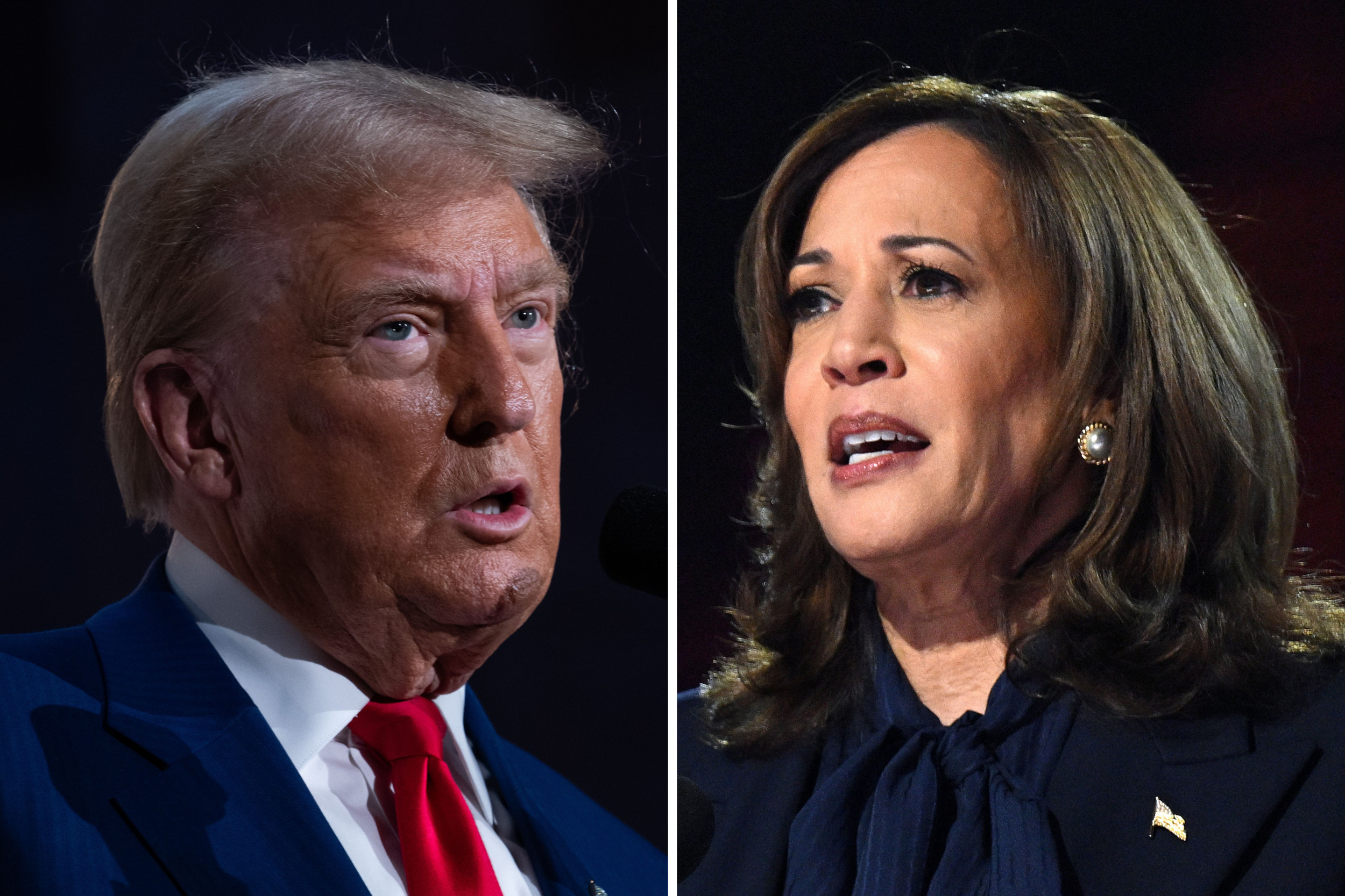 Kamala Harris and Donald Trump's 9/11 plans: What we know