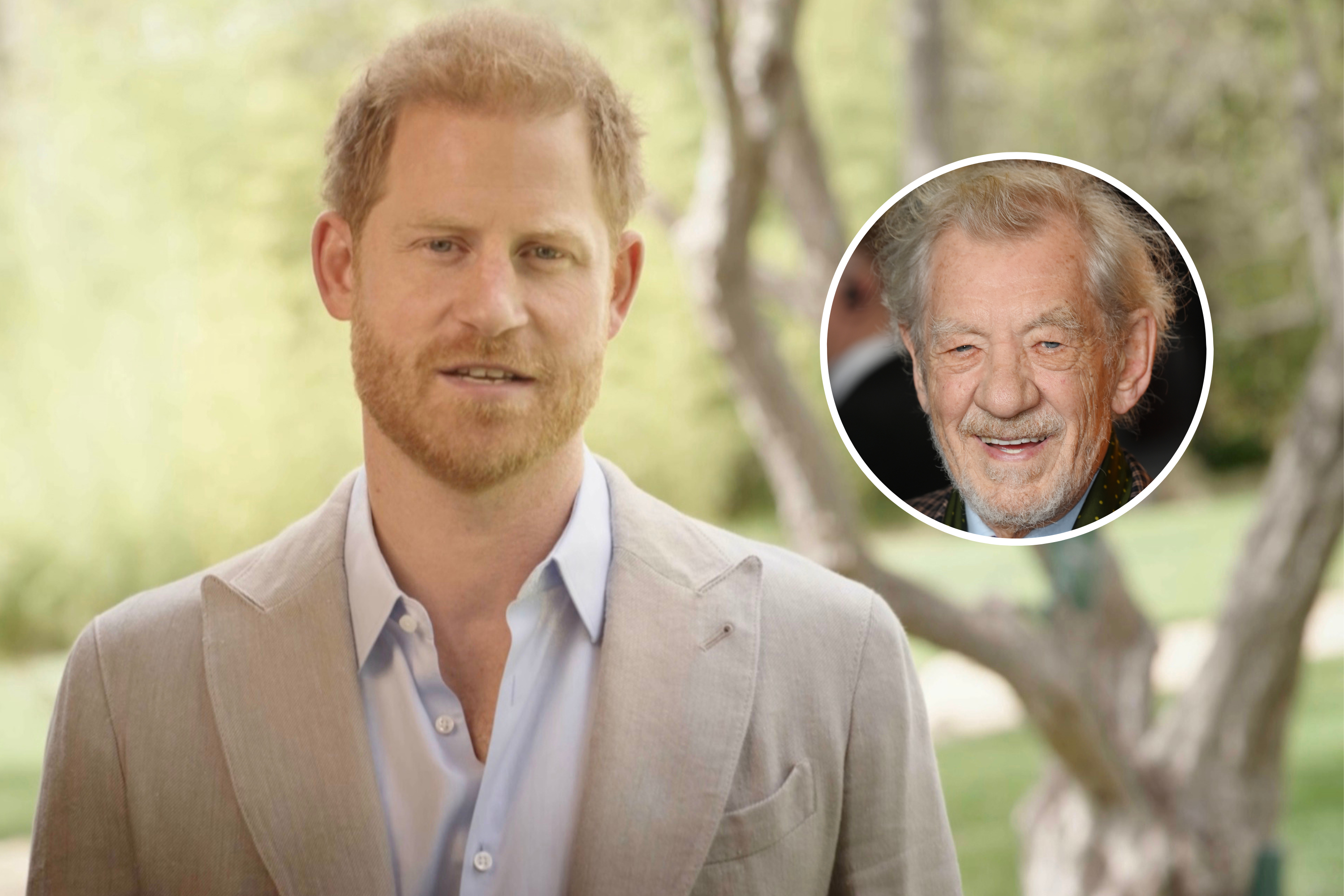 Sir Ian McKellen: Prince Harry Lacks the Smarts to Navigate His Own Challenges