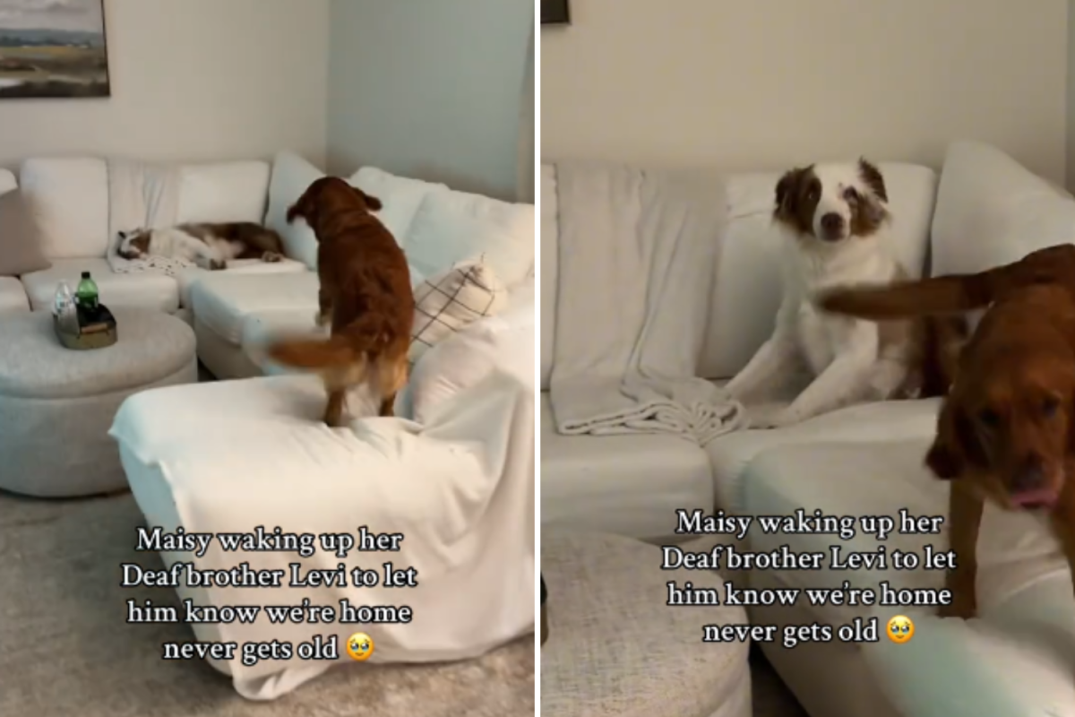 Maisy and Levi