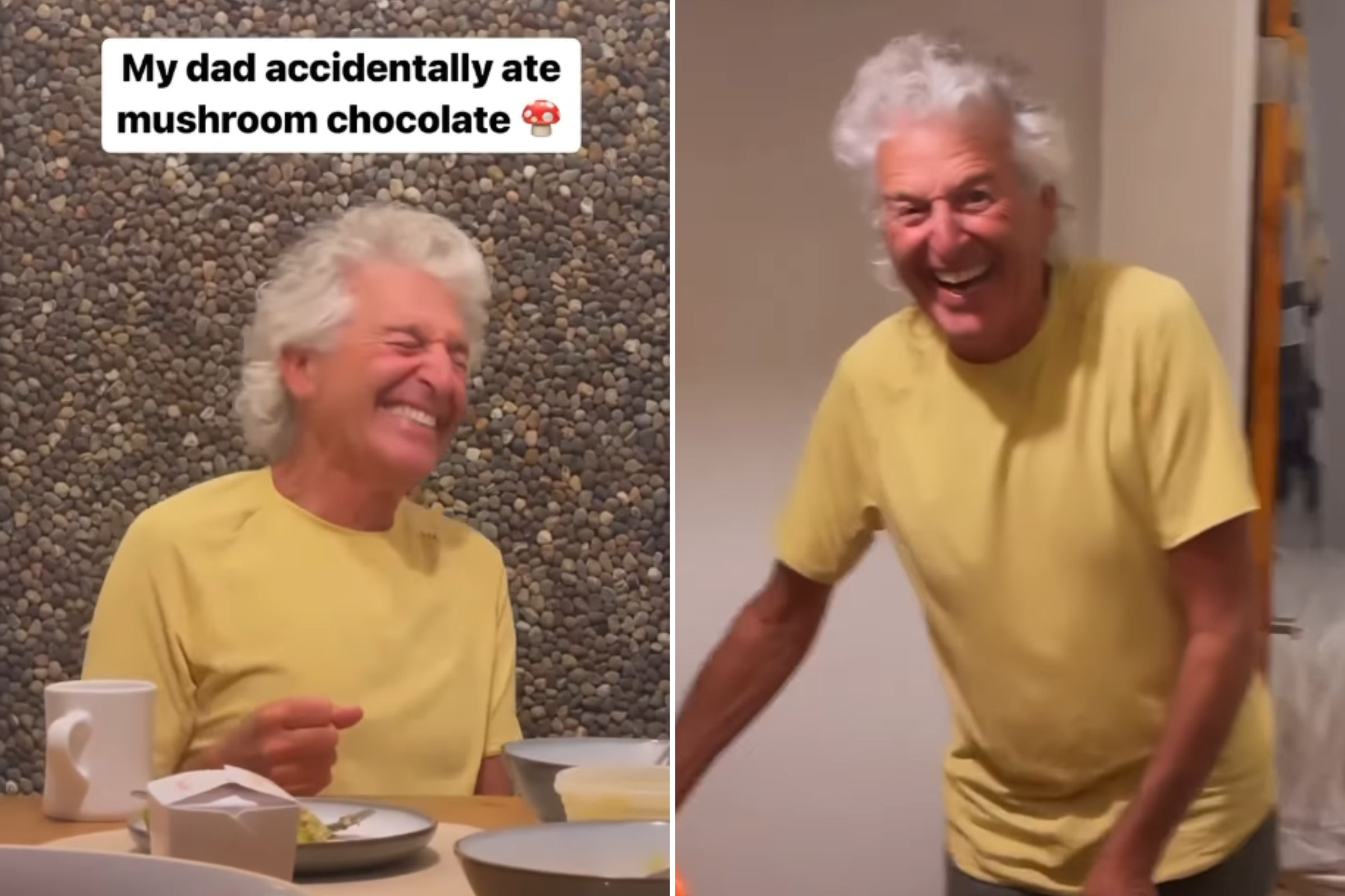 Dad Eats Magic Mushroom Chocolate by Accident, You Know What Happens Next