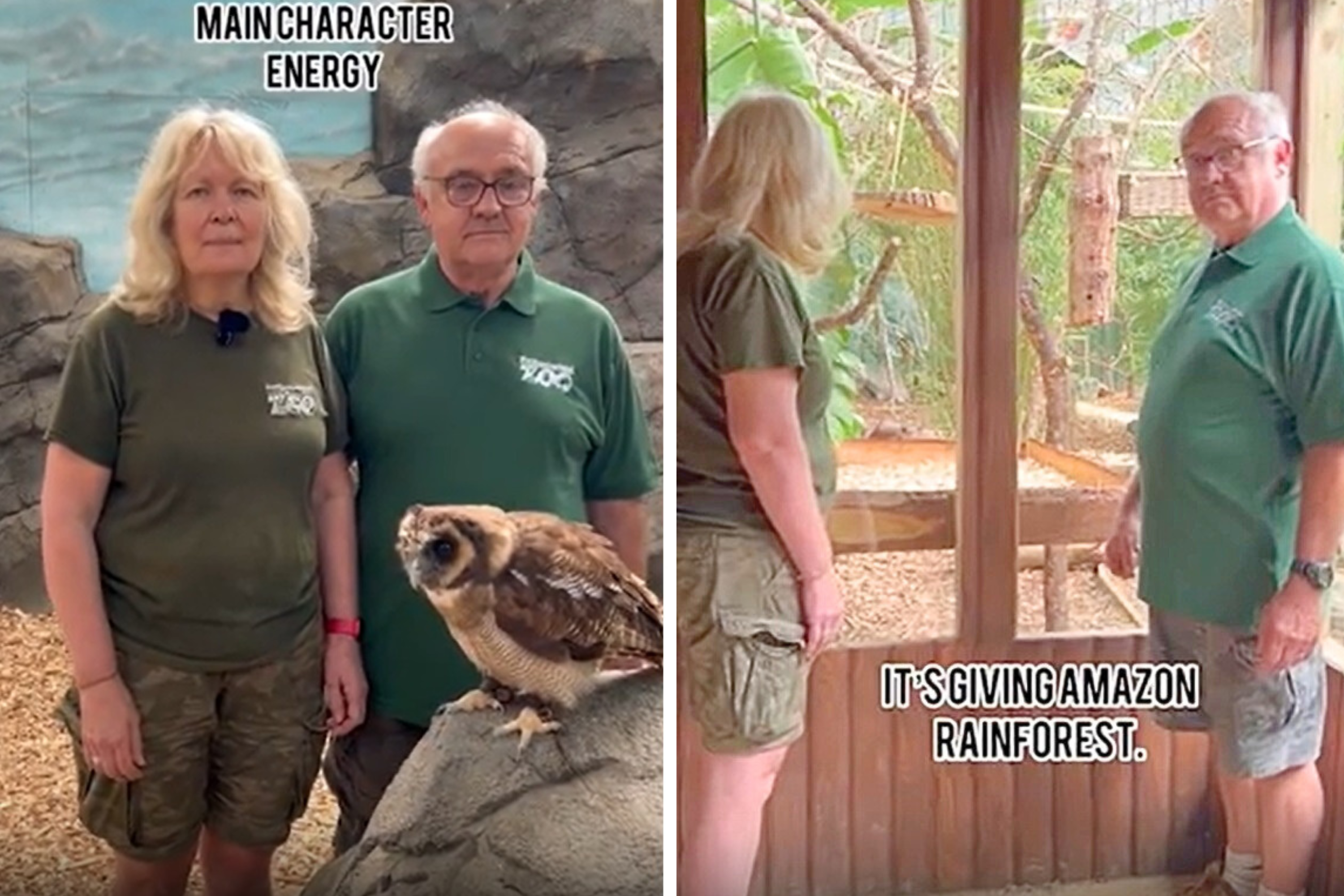 Senior zookeepers give a ‘Gen-Z-style’ tour of the animal kingdom in viral clip