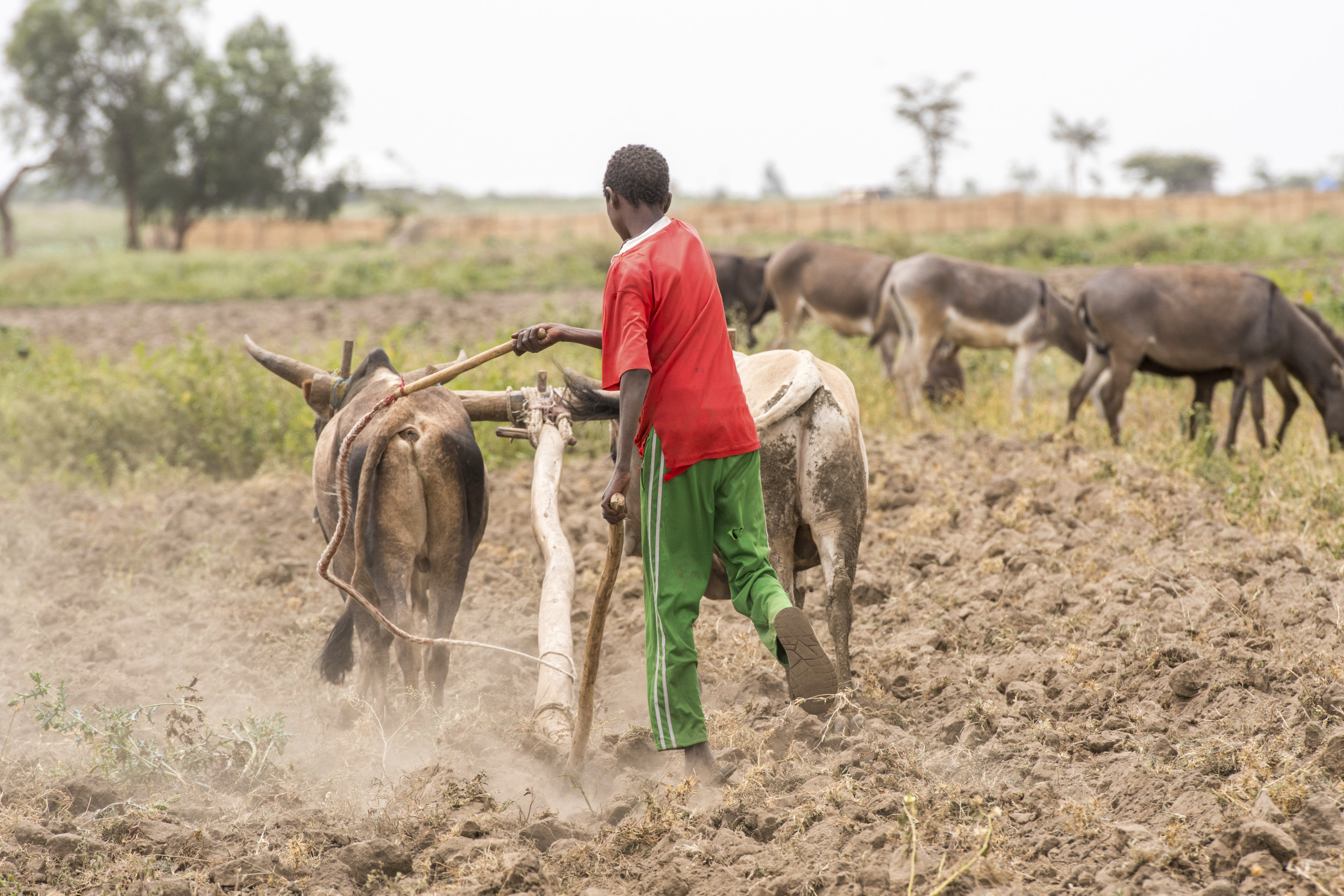 Invest in Rural Economies Today for a Stable World Tomorrow | Opinion