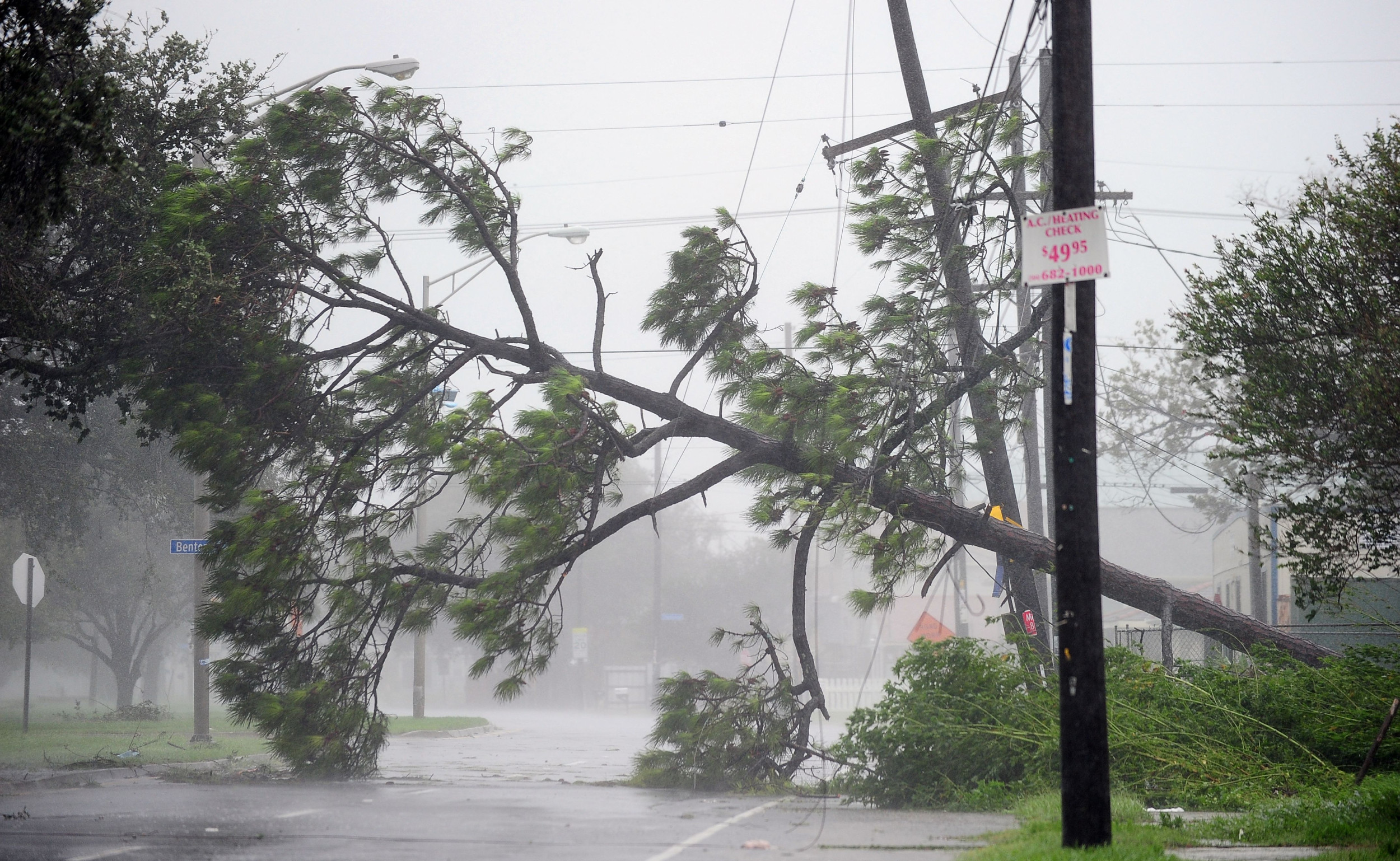 Two States Brace for Impact as Tropical Storm Francine Approaches