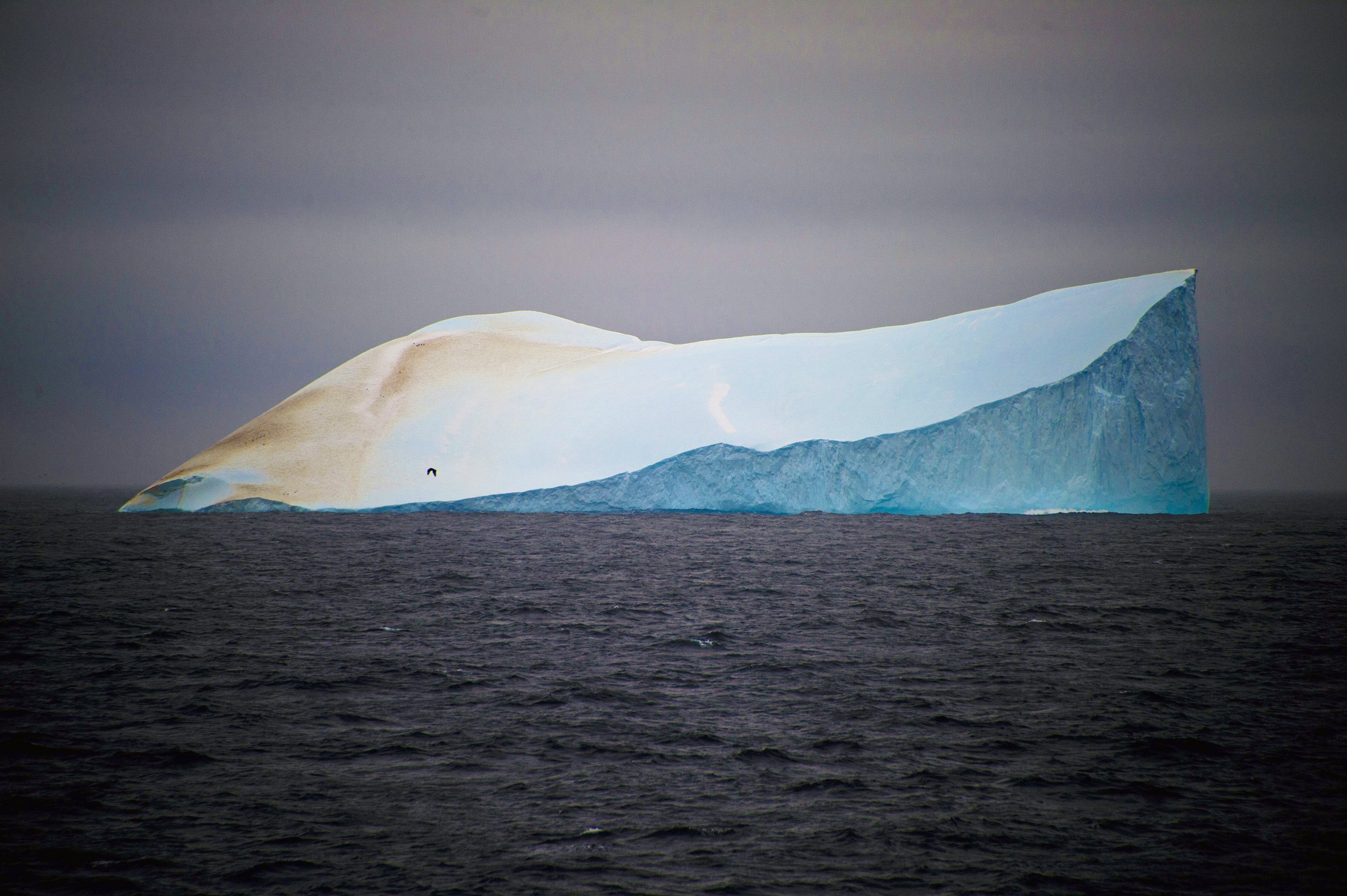 4.21_Antarctic.jpg