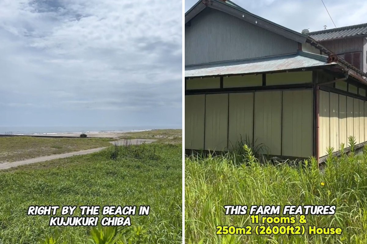 Abandoned farm in Japan.