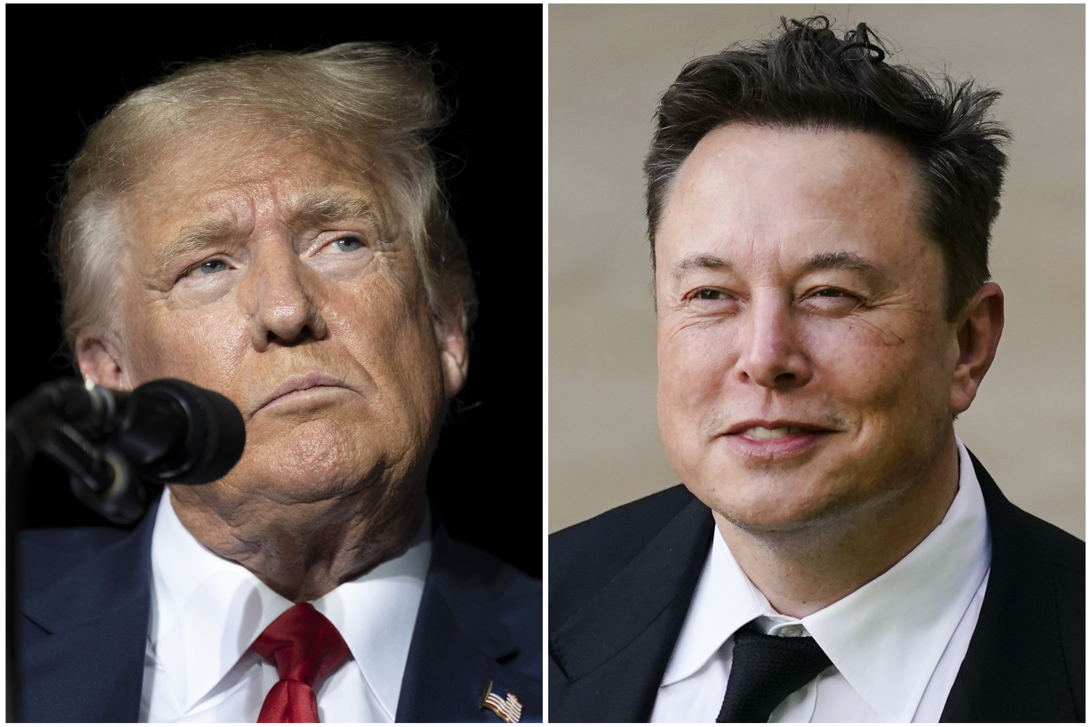 Elon Musk's Post After Apparent Trump Assassination Attempt Sparks