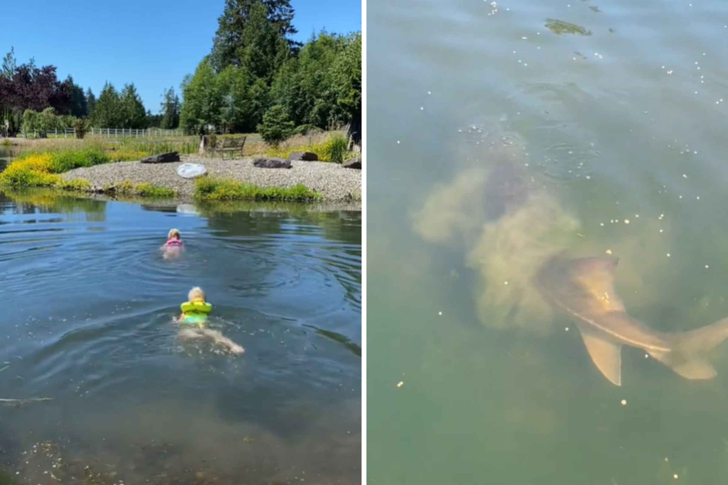 Mom’s Summer Pond Fun Takes a Shocking Turn: What She Discovered in the Water