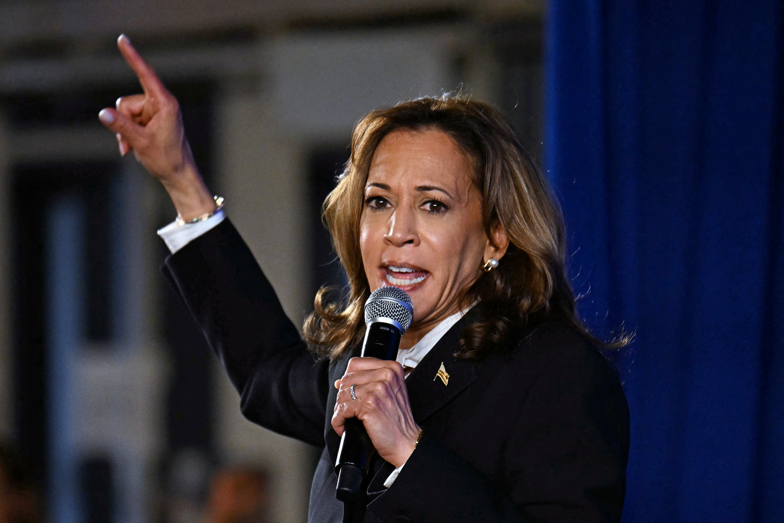Kamala Harris Lands Good Sign in MustWin State, Poll Shows Newsweek