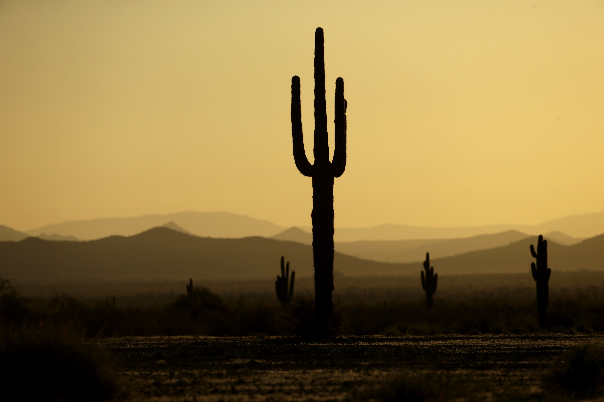 Arizona Tribe Seeks to Ban Drilling on Sacred Spring