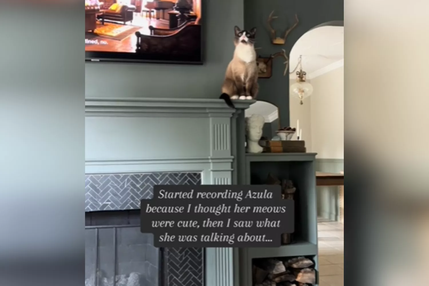 Woman films cat's "cute" meows—then realizes there's something in the house