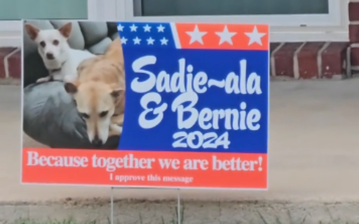 Sadie-ala and Bernie standing together.