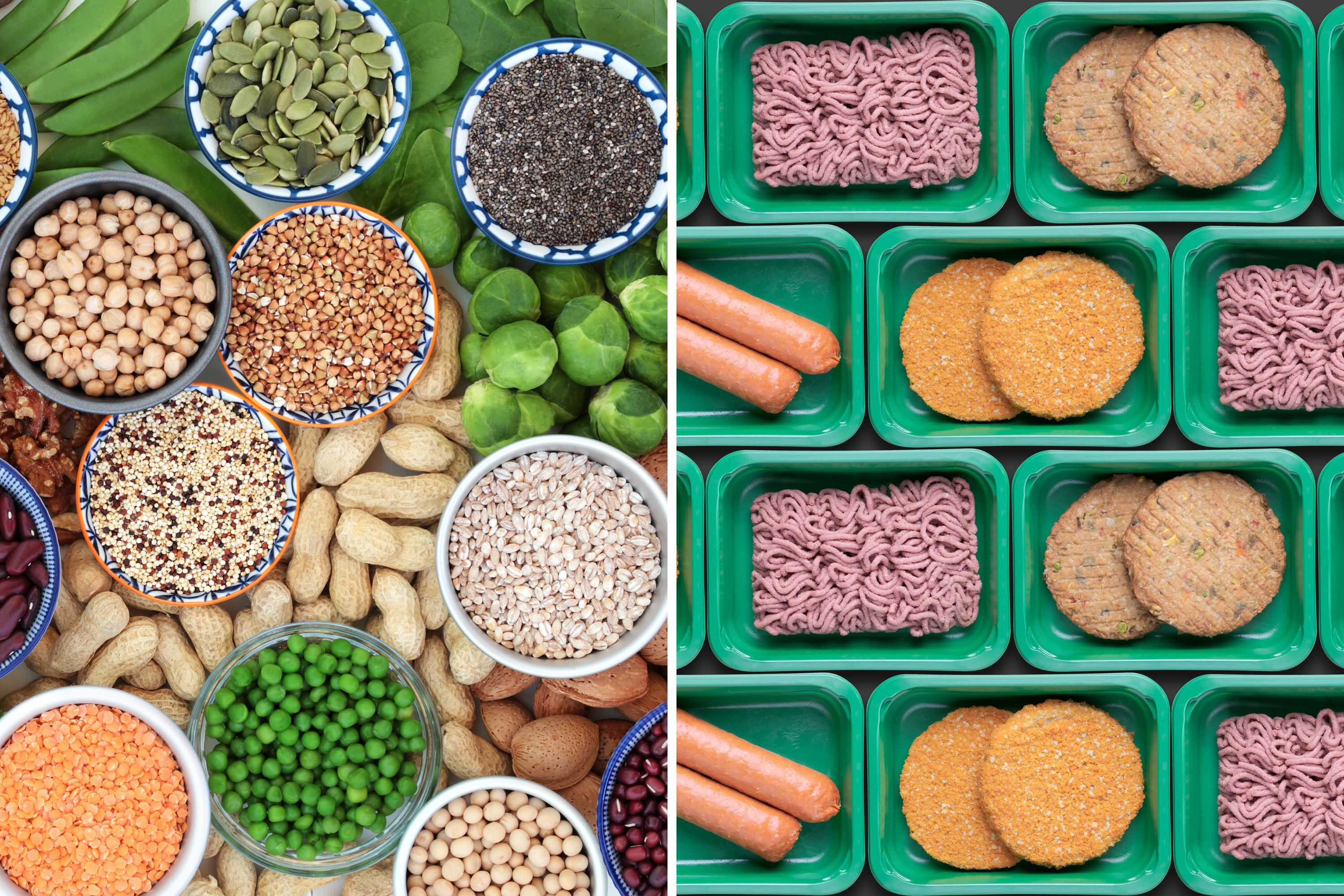 Brazil Study Shows Vegans Meet Protein Needs