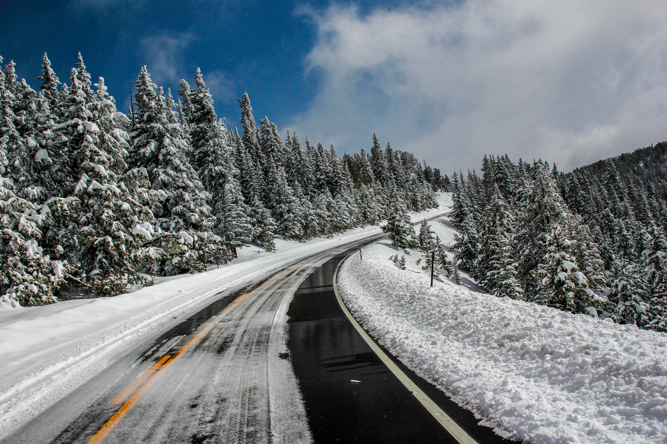 Colorado Braces for 8 Inches of Snow as Summer Comes to a Close