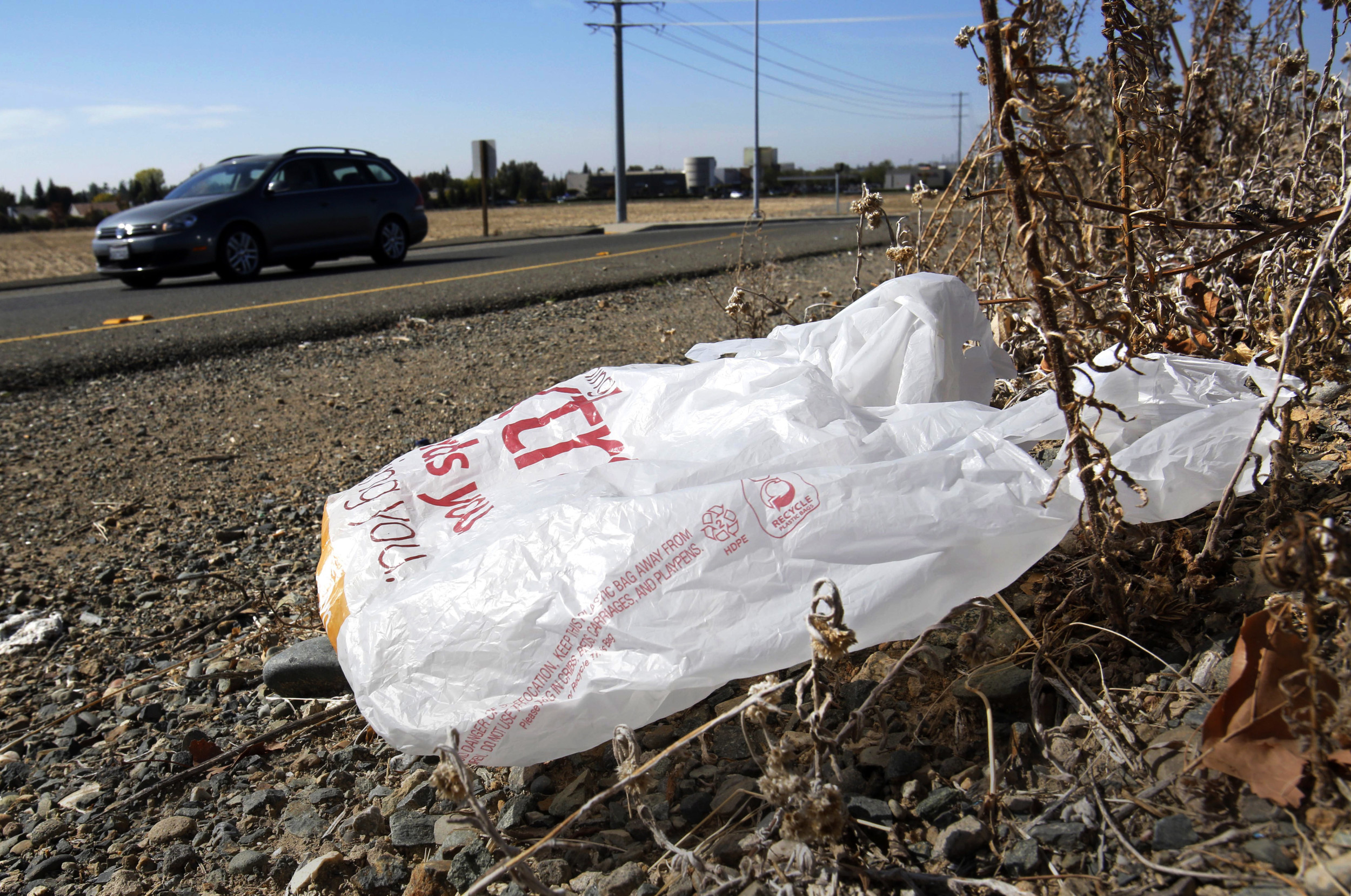 Gavin Newsom bans all plastic shopping bags at grocery stores