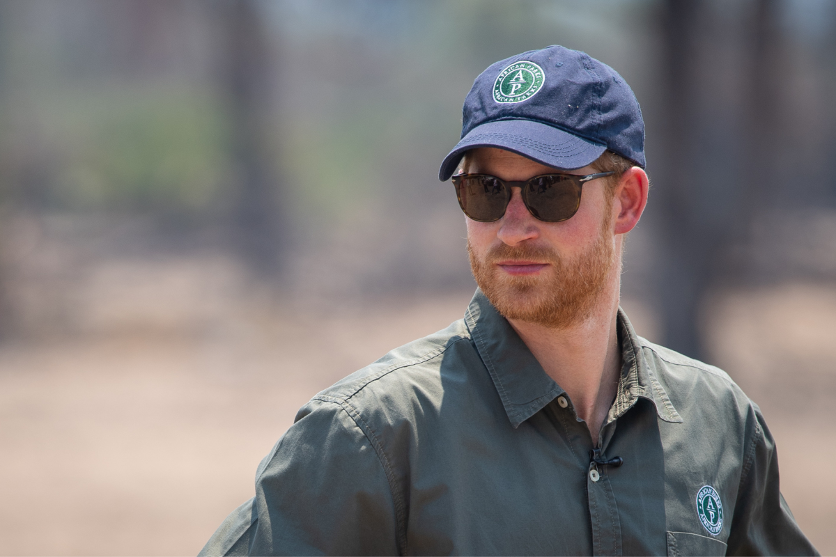 Prince Harry African Parks