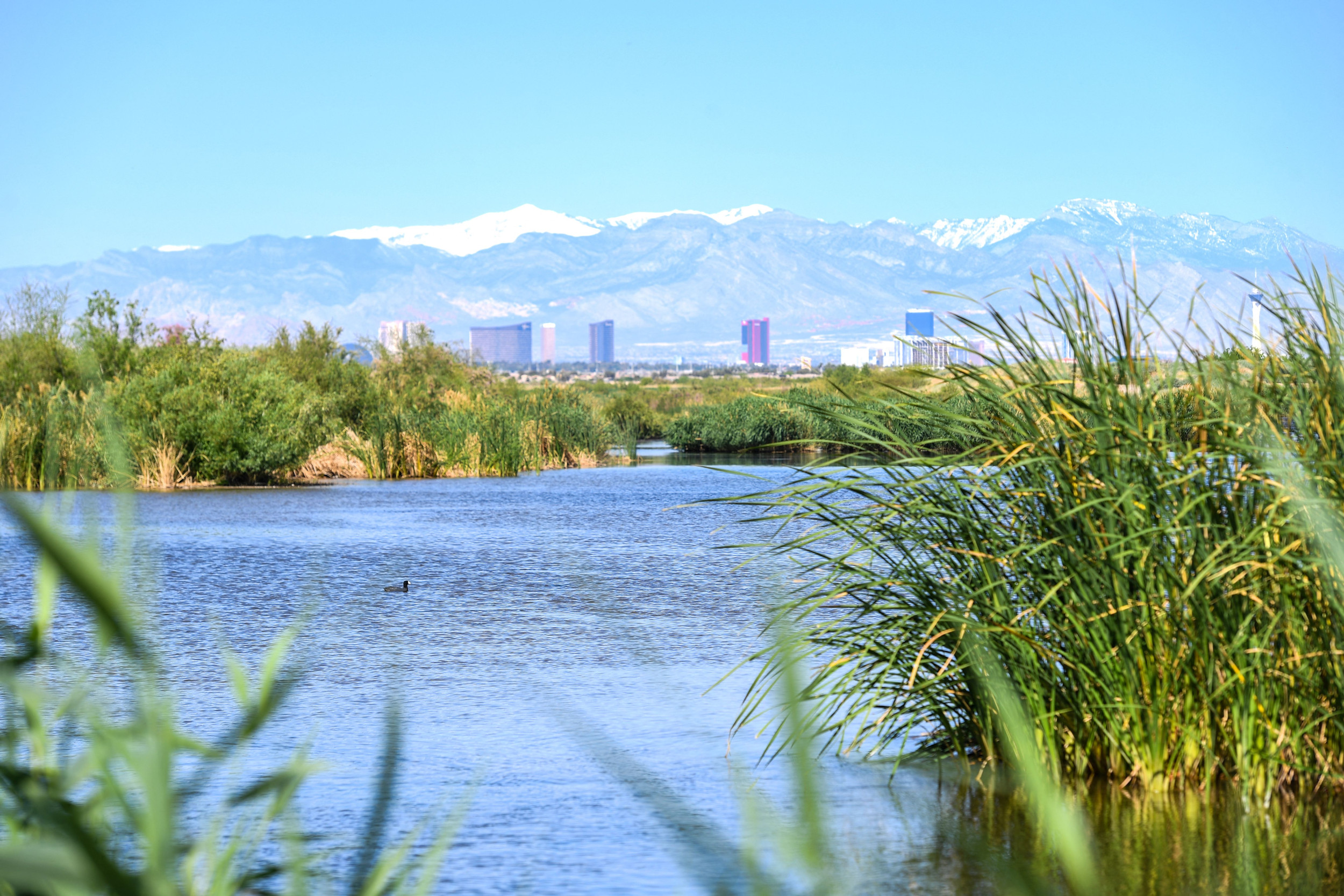  Million Invested in Erosion Control for Essential Lake Mead Waterway