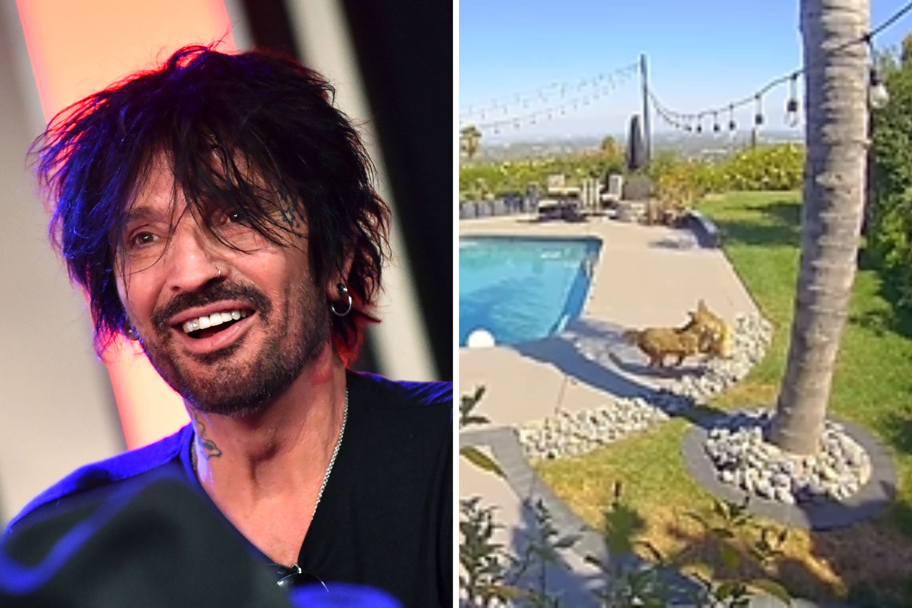 Coyote Steals Tommy Lee’s Dog Toy Right from the Backyard!