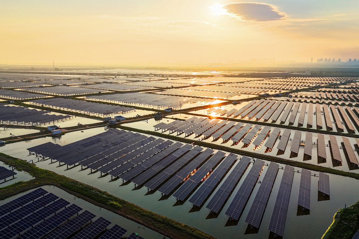 Solar Panels Capture Sunlight in Jiangsu Province