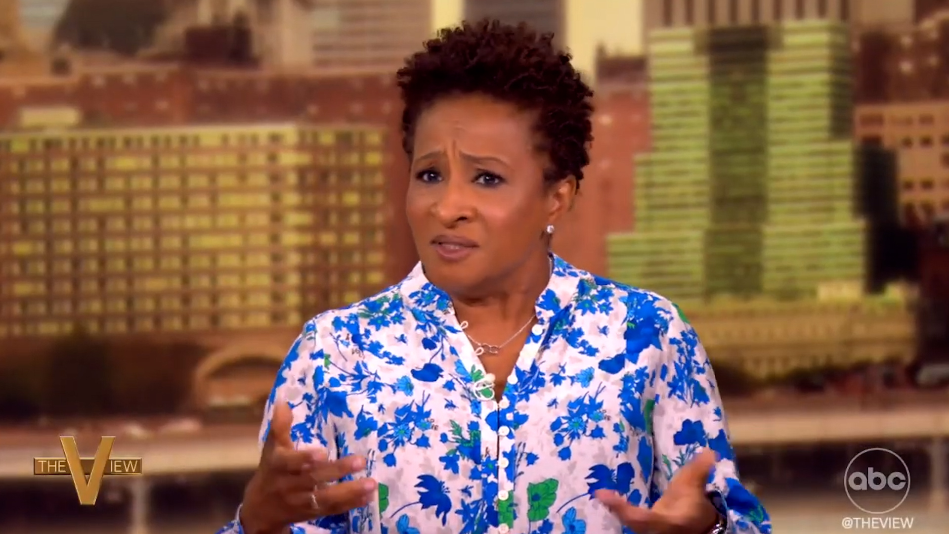 Wanda Sykes Weighs In About Melania Trump Calling Donald 'Kind and Sweet'