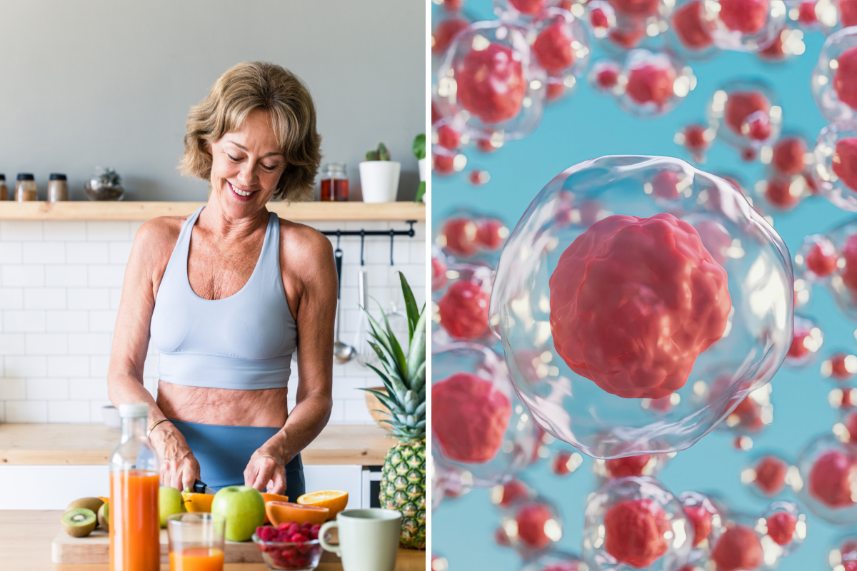 Stem cellular remedy promise to forestall illness and gradual getting older Stem cellular remedy promise to forestall illness and gradual getting older