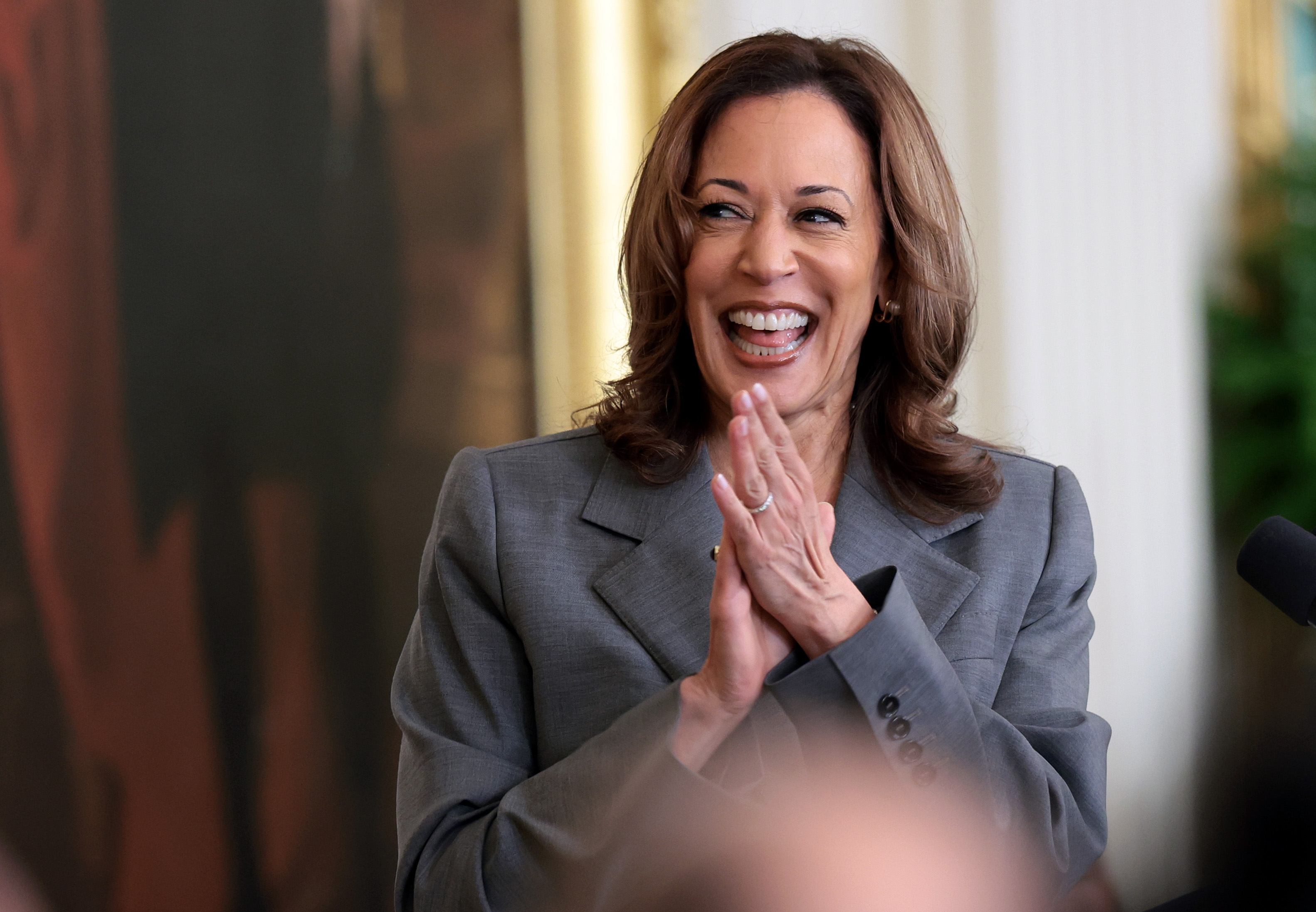 Kamala Harris Takes DoubleDigit Lead Over Trump in Critical District