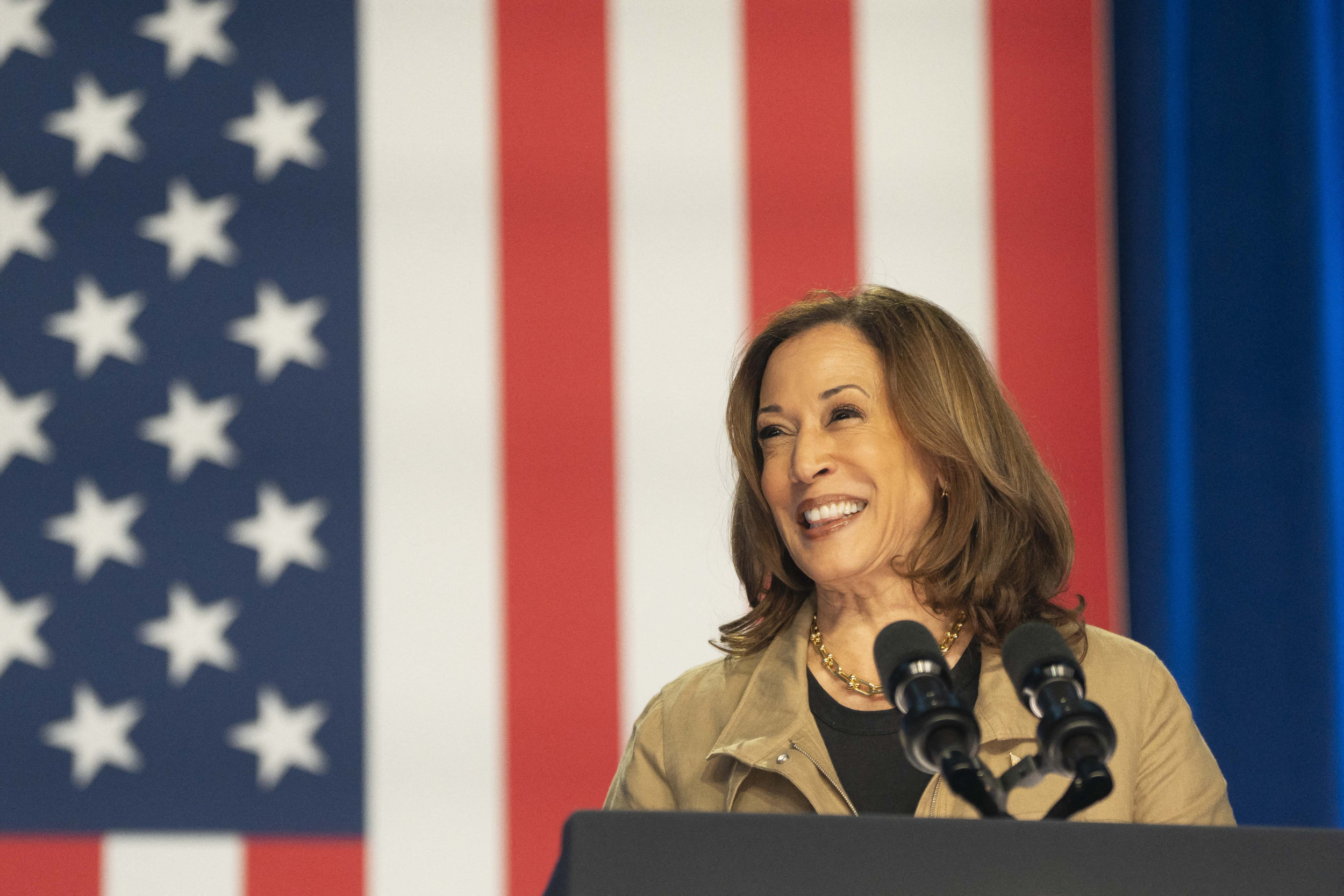 Kamala Harris’s Best Chance: Winning All 7 Key Swing States, According to Nate Silver’s Model