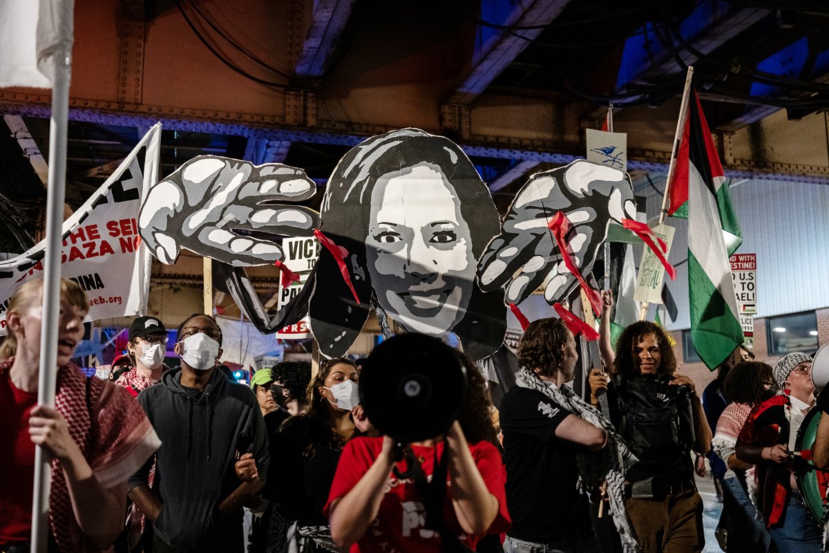 Pro-Palestinian protesters at DNC