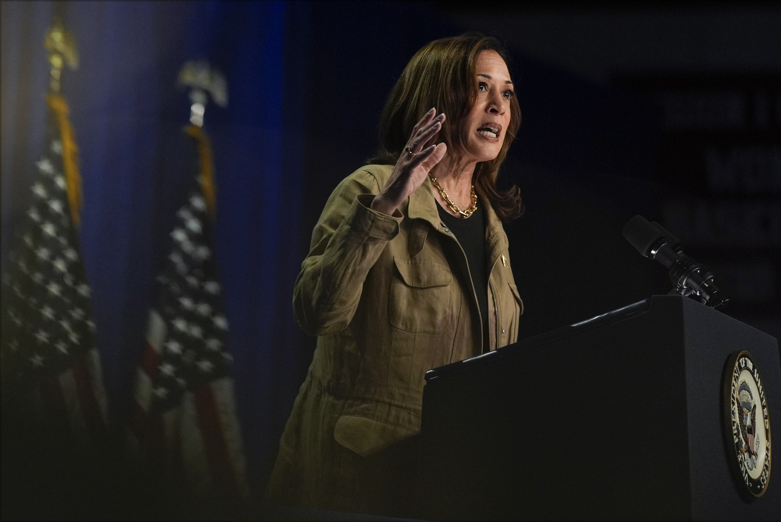 Kamala Harris Brings Balanced Solutions to Immigration | Opinion