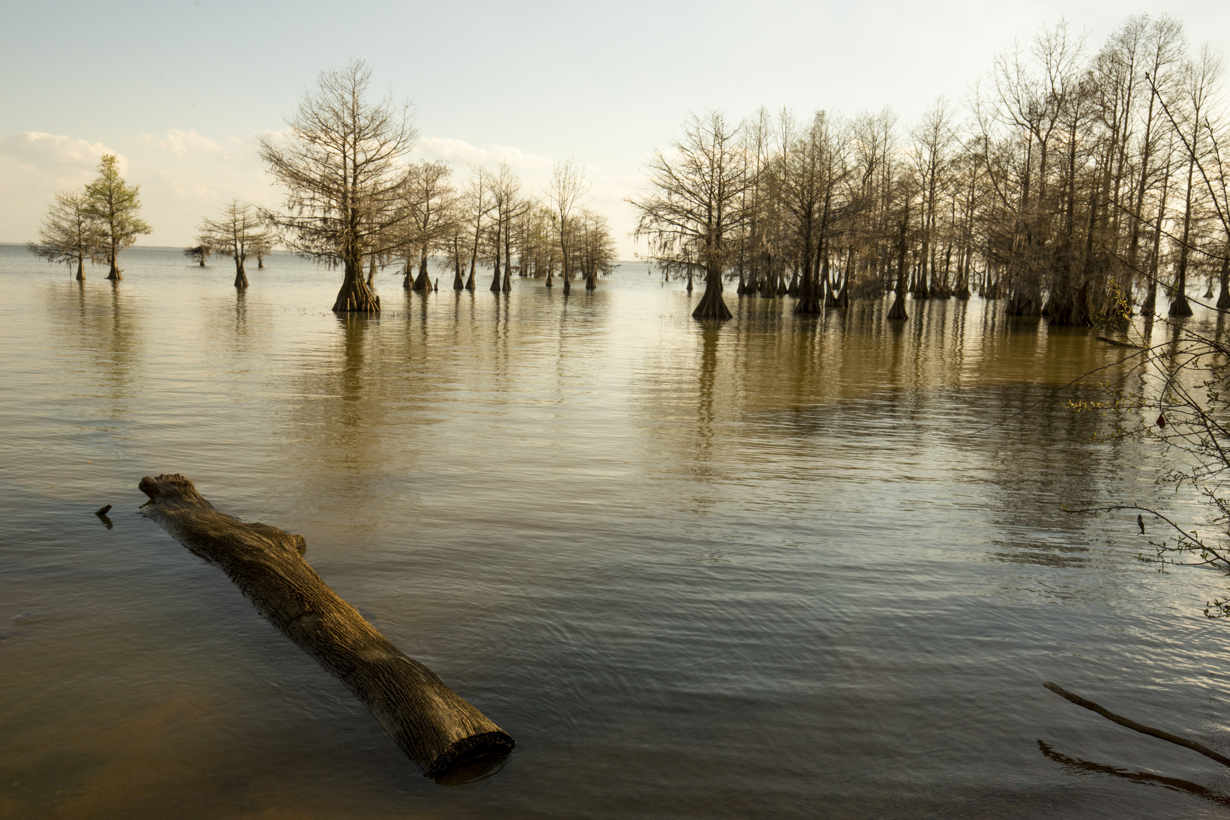 Water levels plunge as lake warning issued in South Carolina