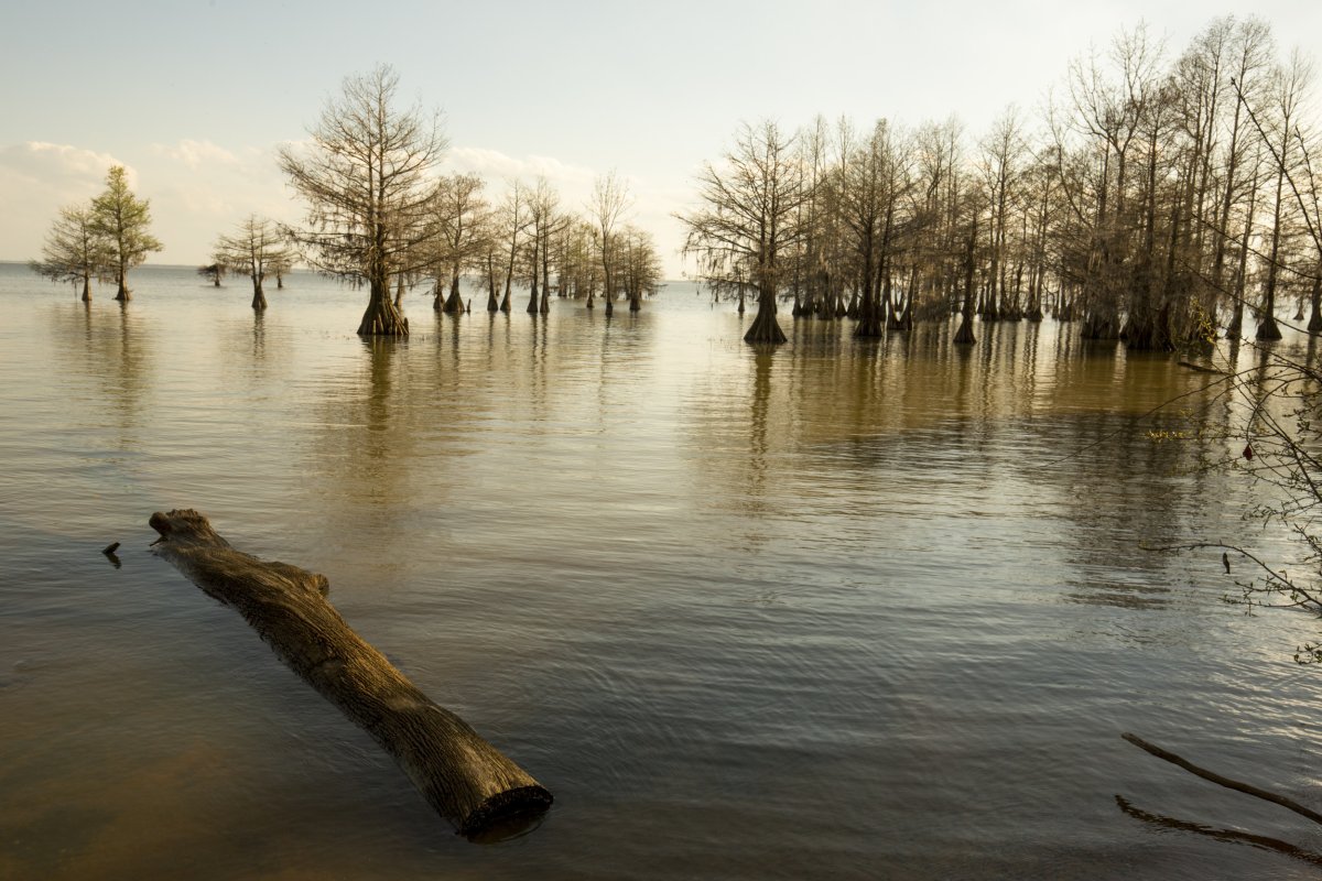 Water Levels Plunge as Lake Warning Issued in South Carolina