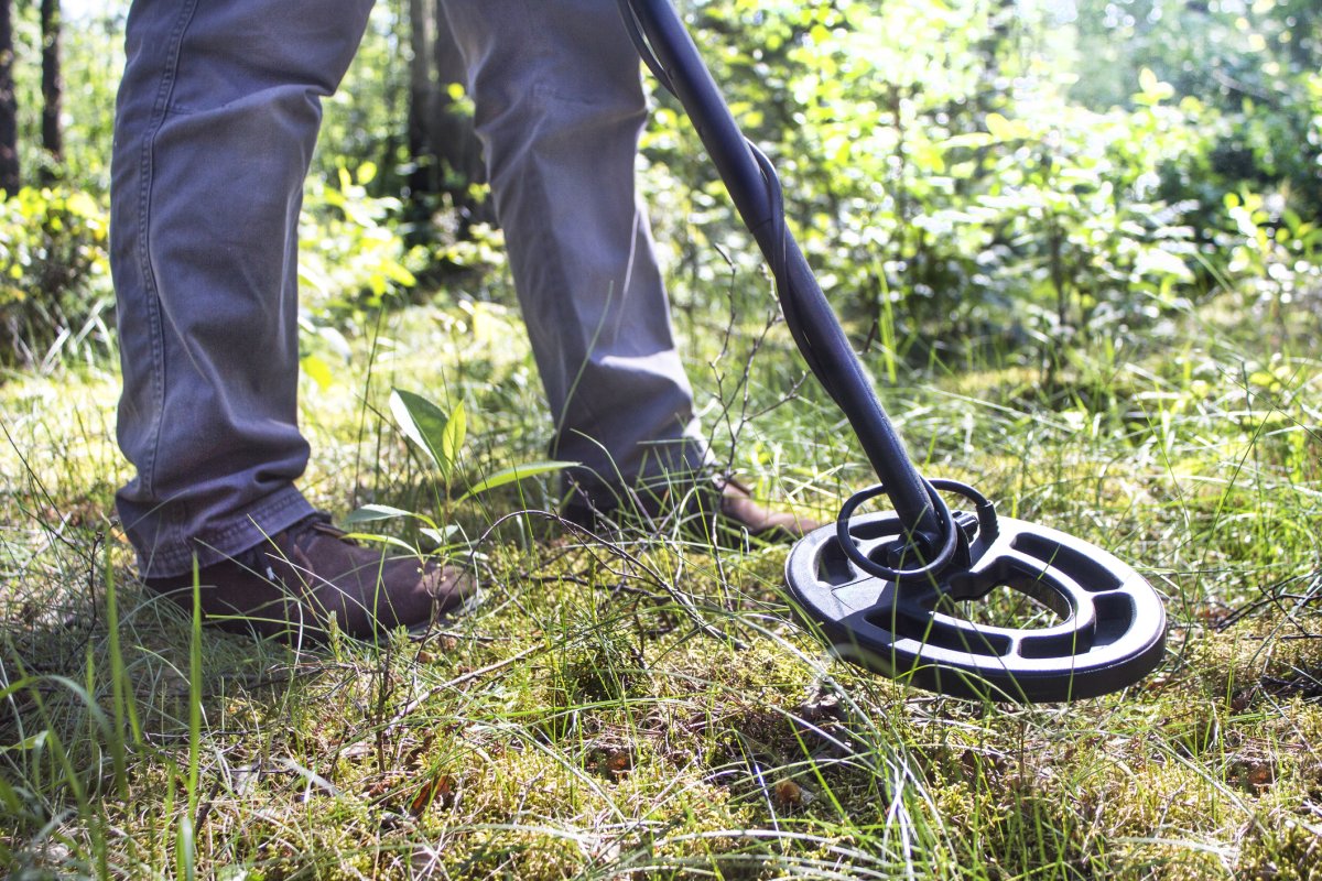 Metal Detectorists Discover Viking Treasure Hoard Hidden for 1,000 Years