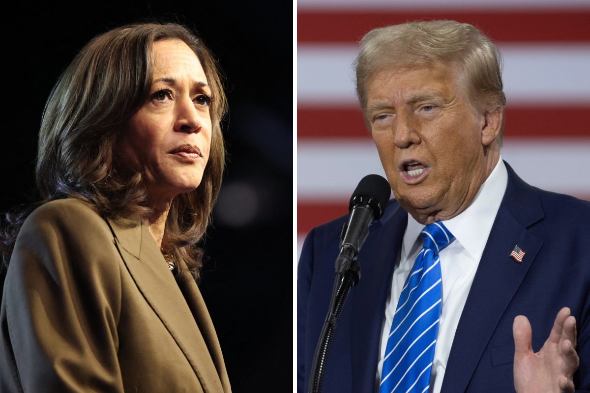 Map Shows States Kamala Harris, Donald Trump Lead Polls 5 Weeks to Election