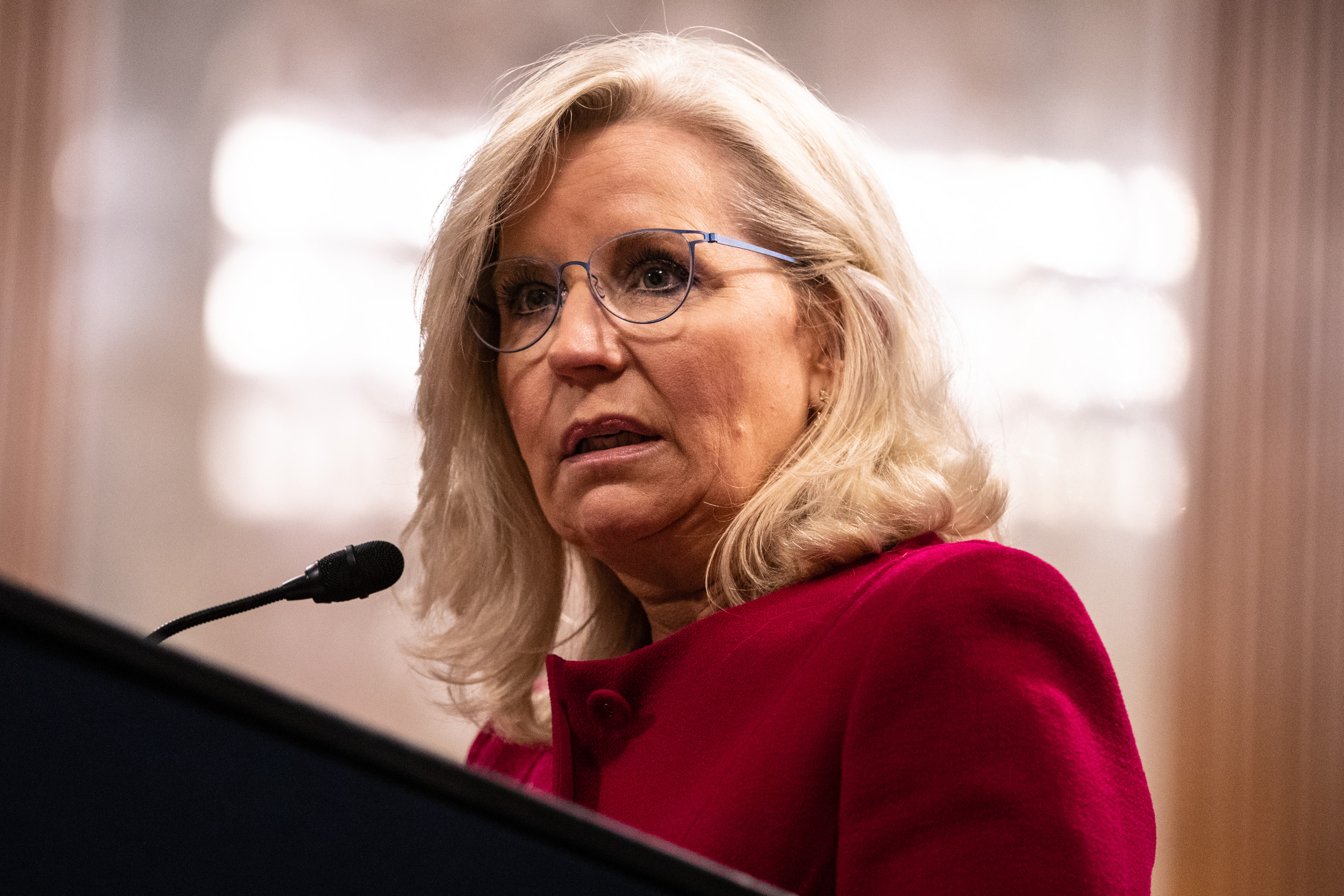 Liz Cheney Will Campaign With Kamala Harris In The Birthplace Of The ...