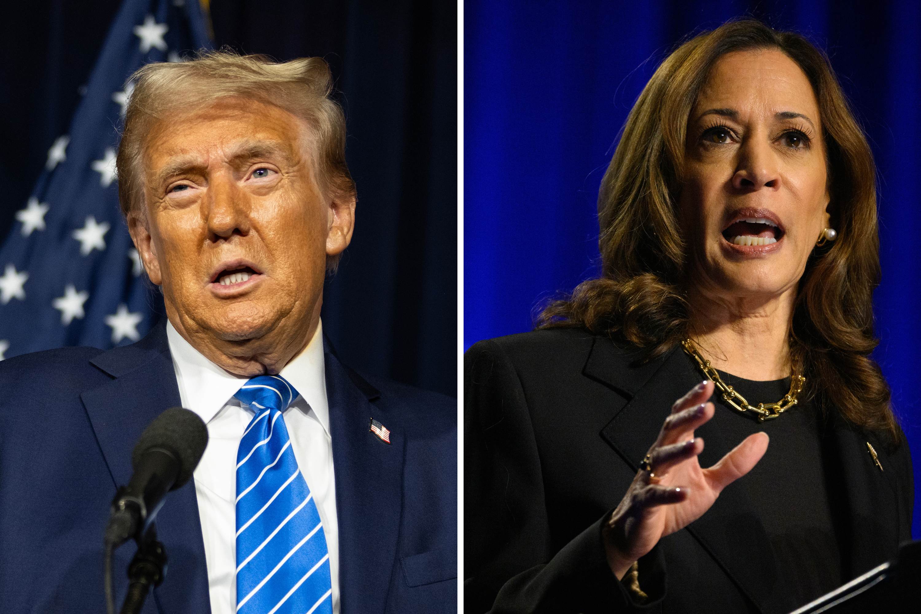 Kamala Harris Gets Boost Over Donald Trump on Economy From Women: Poll